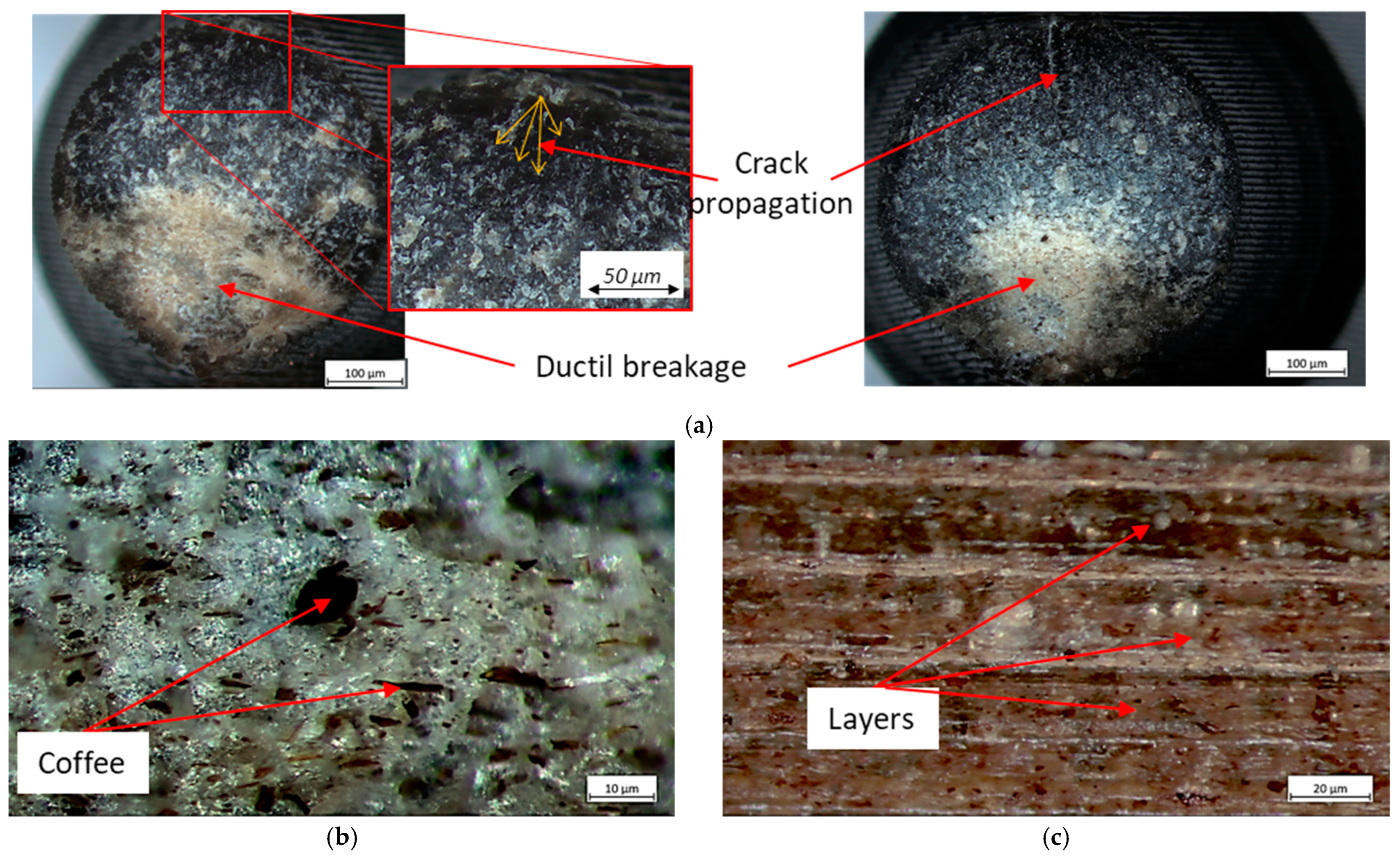 Polymers 16 02422 g017a
