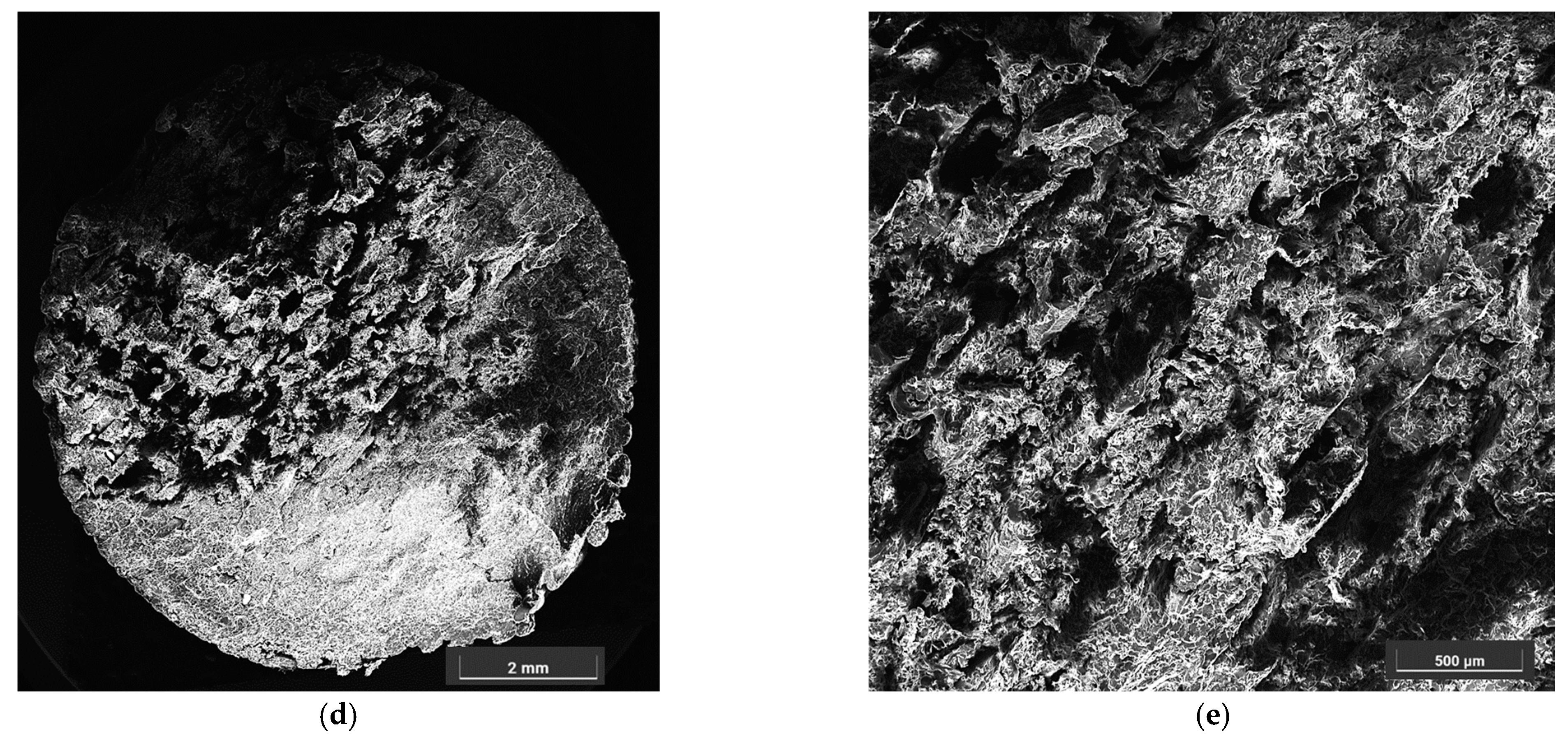 Polymers 16 02422 g017b