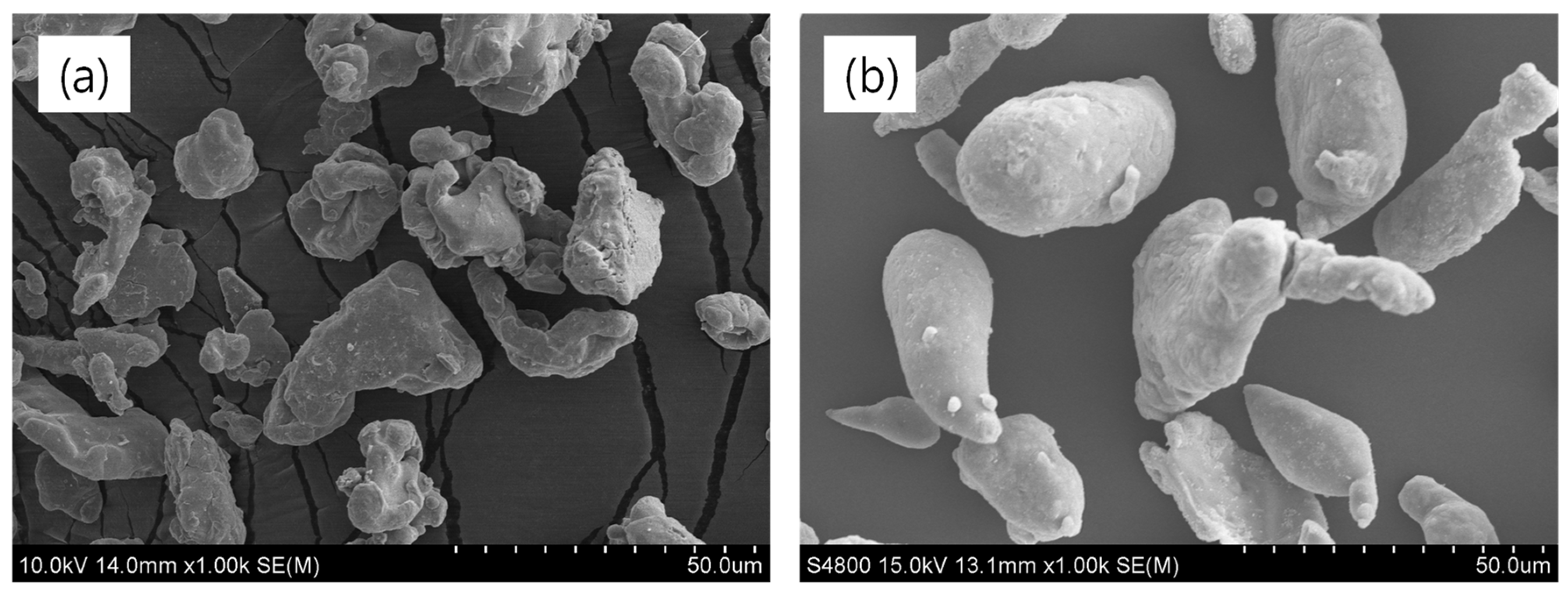 Polymers 16 02424 g001