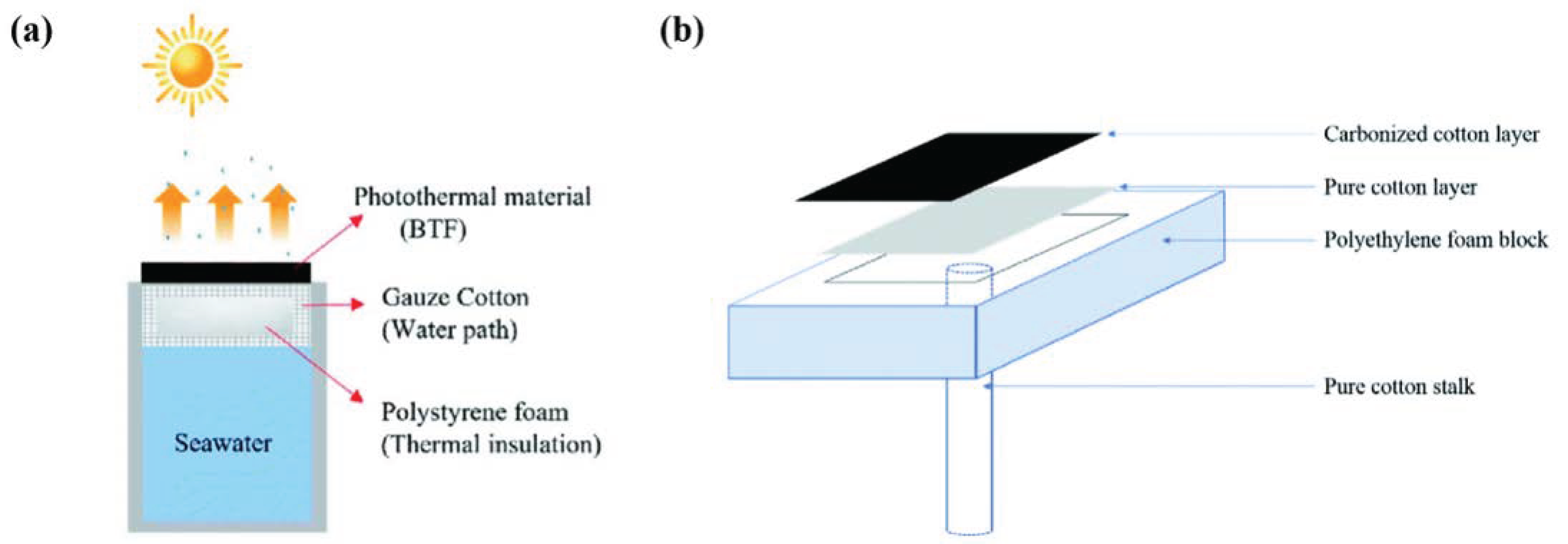 Polymers 16 02427 g002