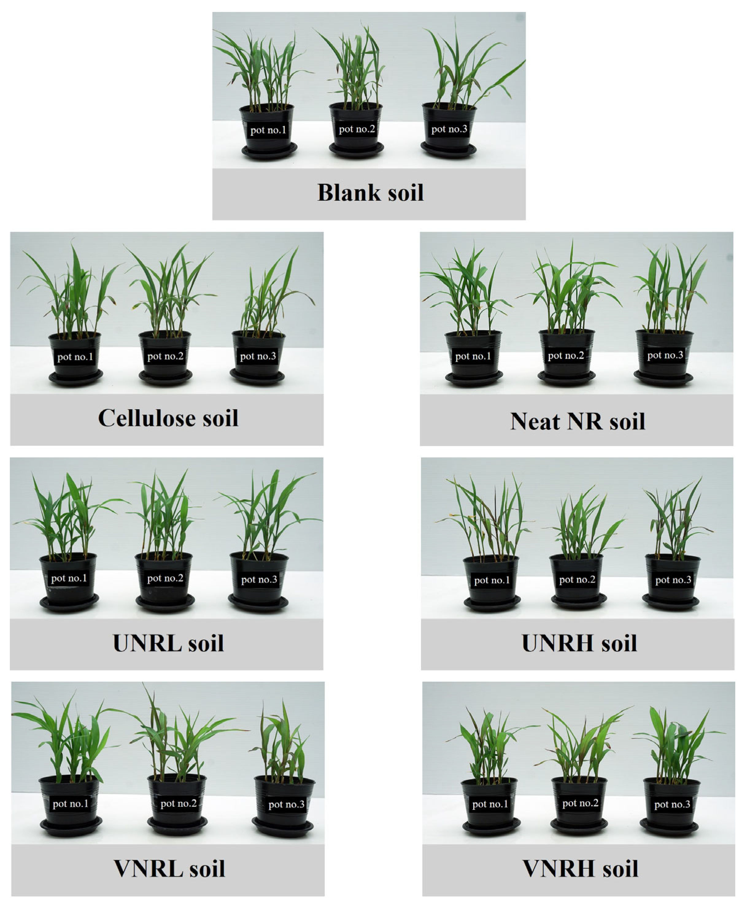 Polymers 16 02429 g004 Polymers 16 02429 g004