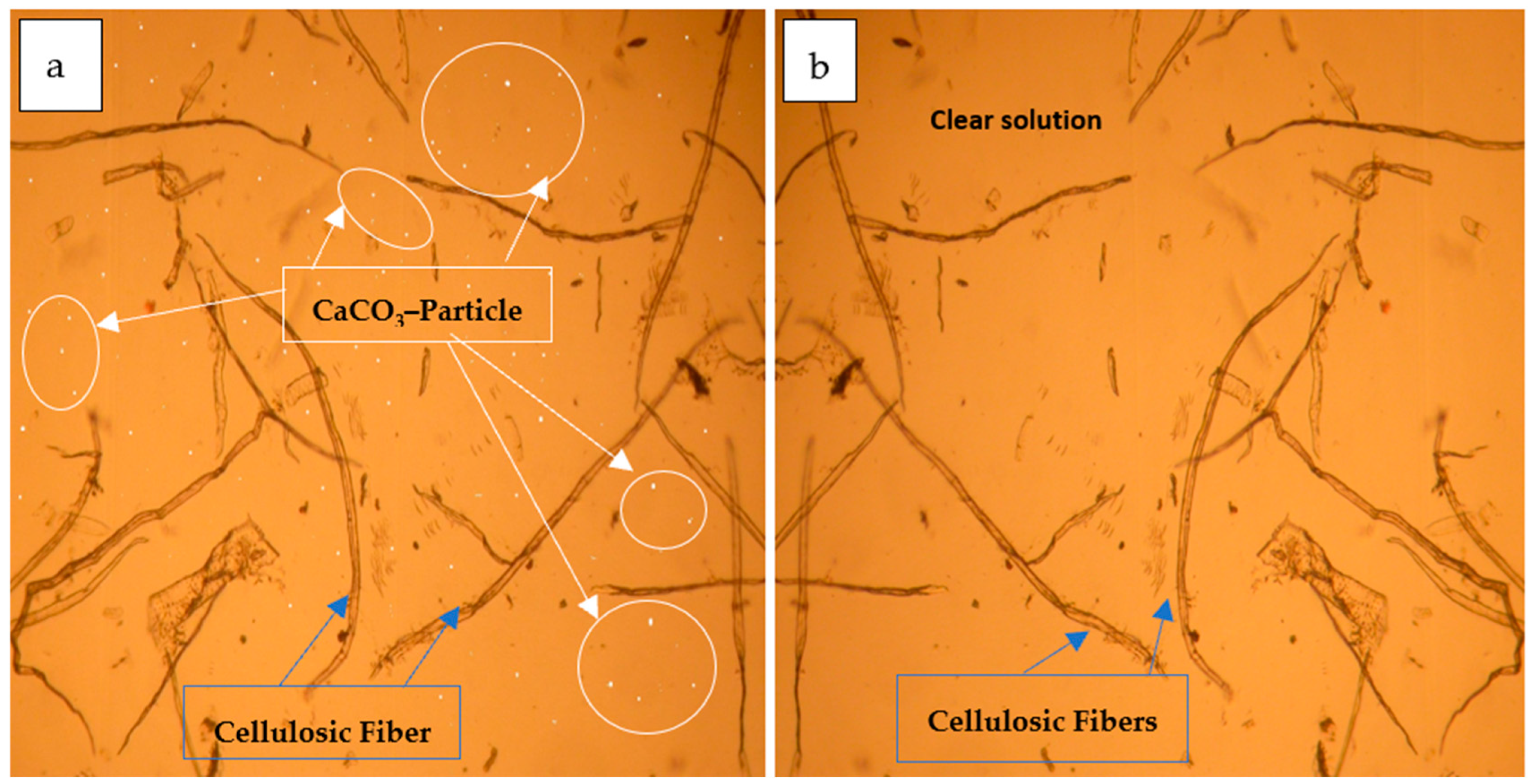 Polymers 16 02431 g002
