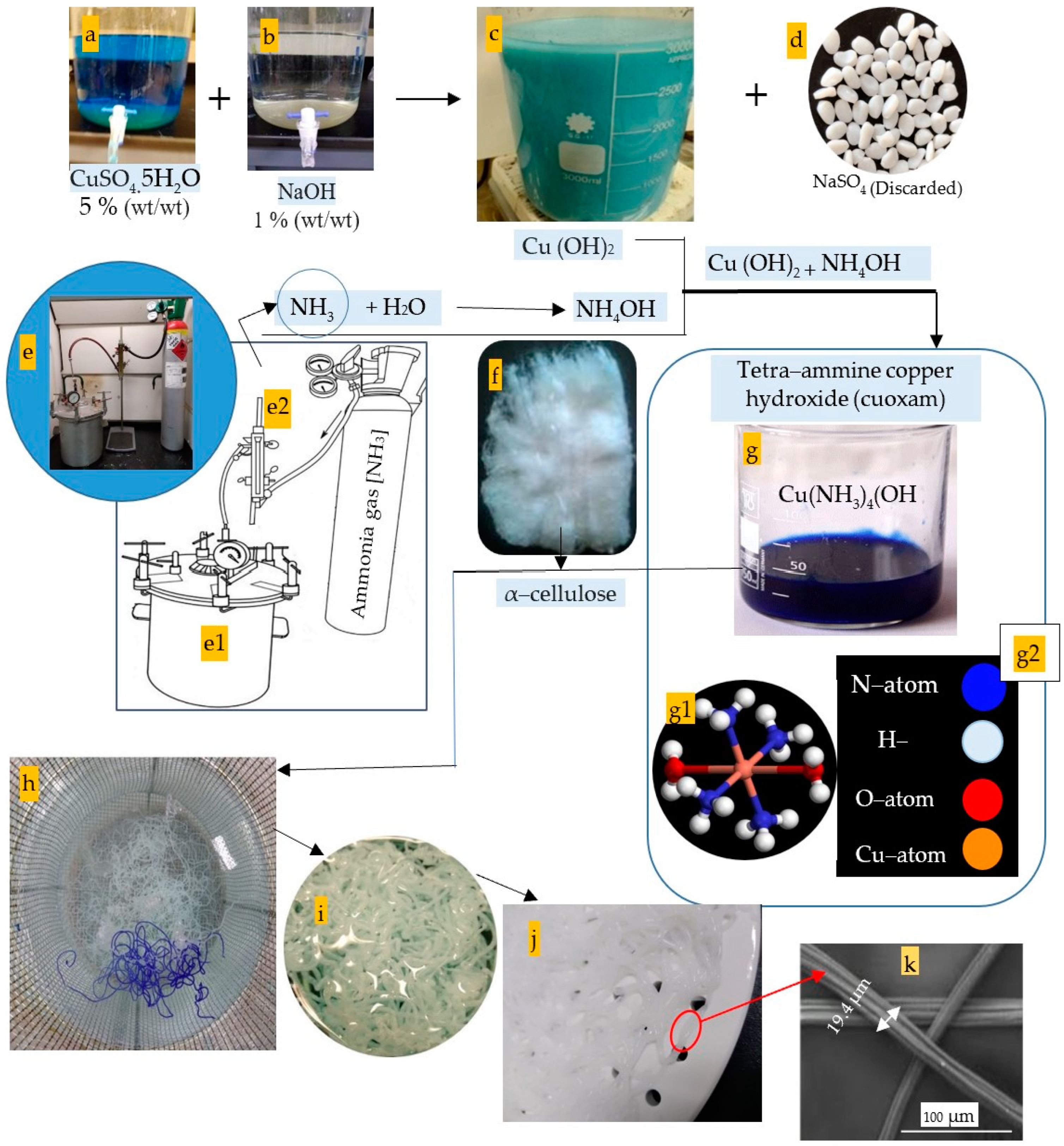 Polymers 16 02431 g003
