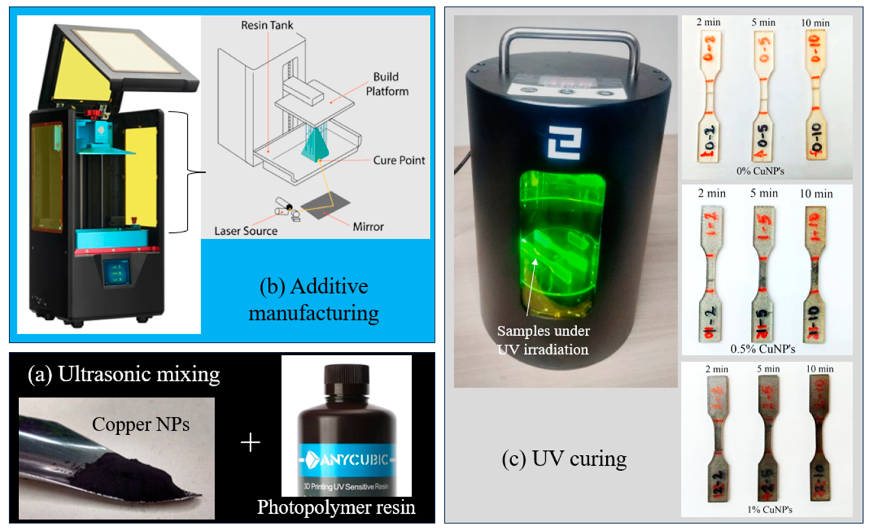Polymers 16 02434 g001
