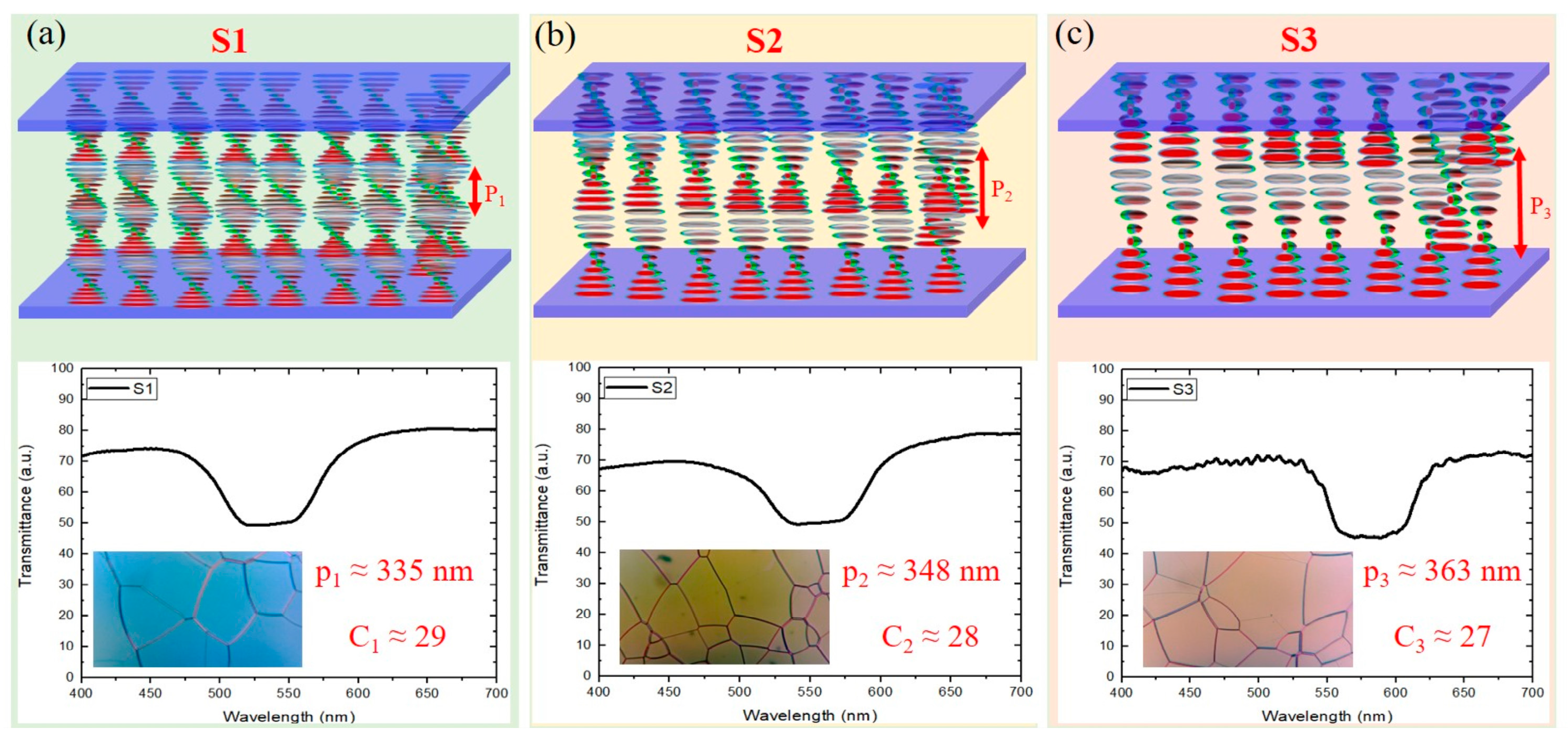 Polymers 16 02436 g001