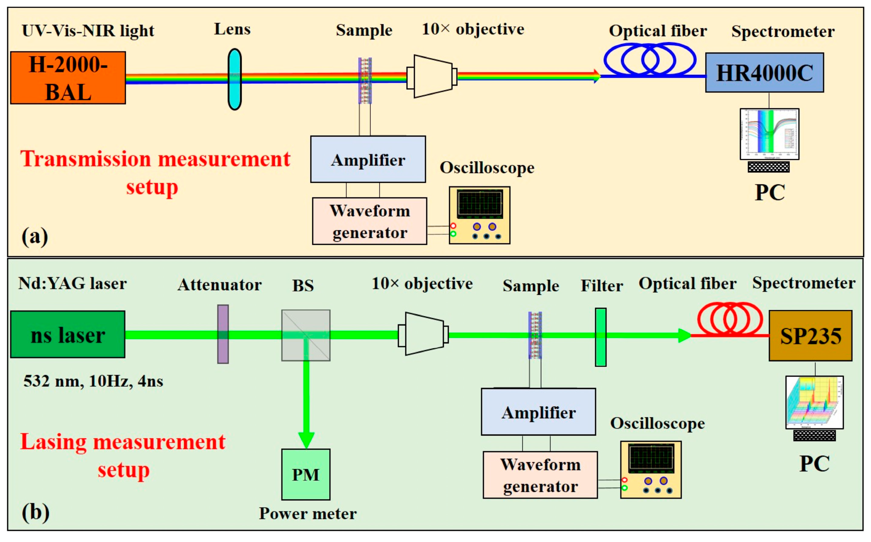 Polymers 16 02436 g002