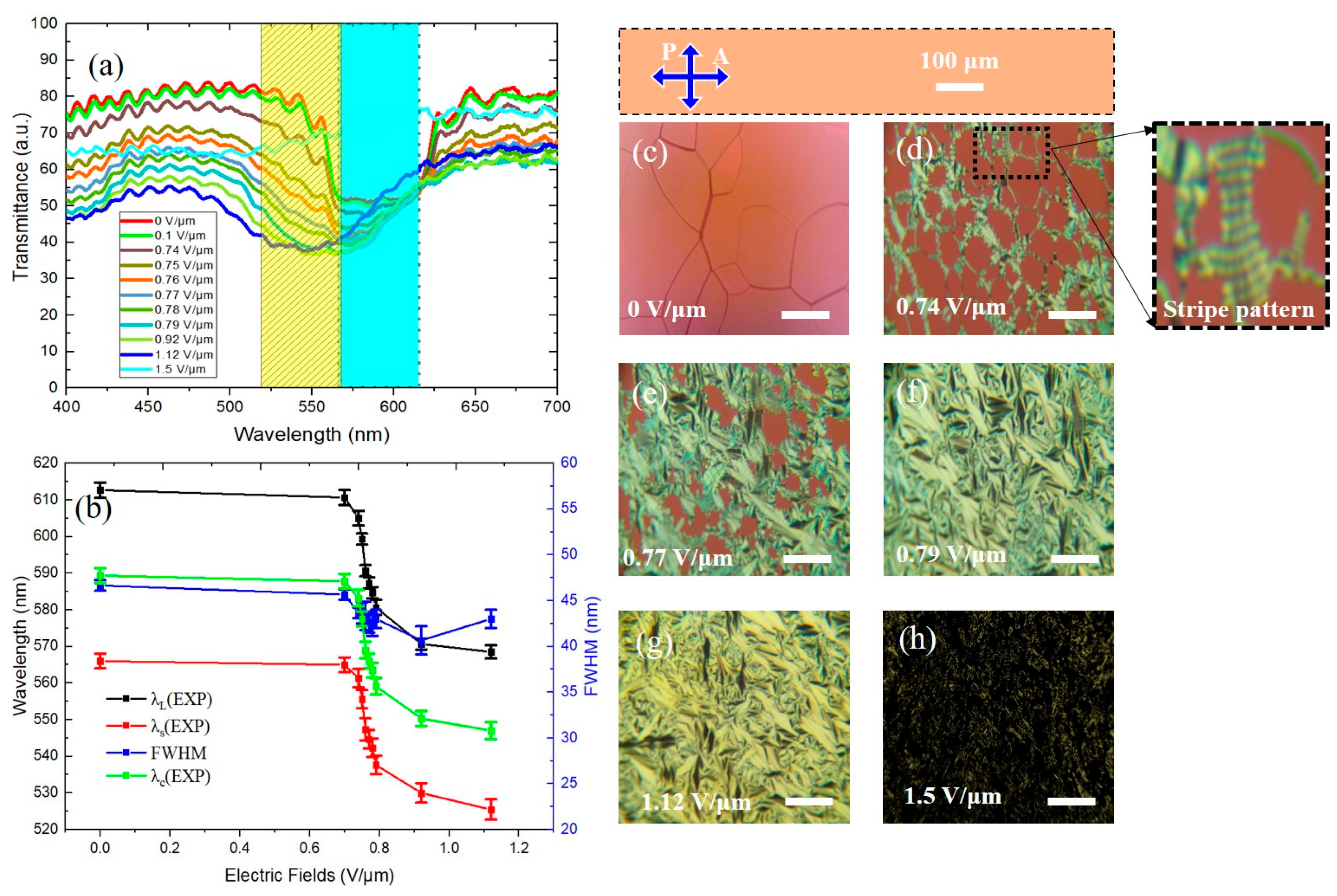 Polymers 16 02436 g003