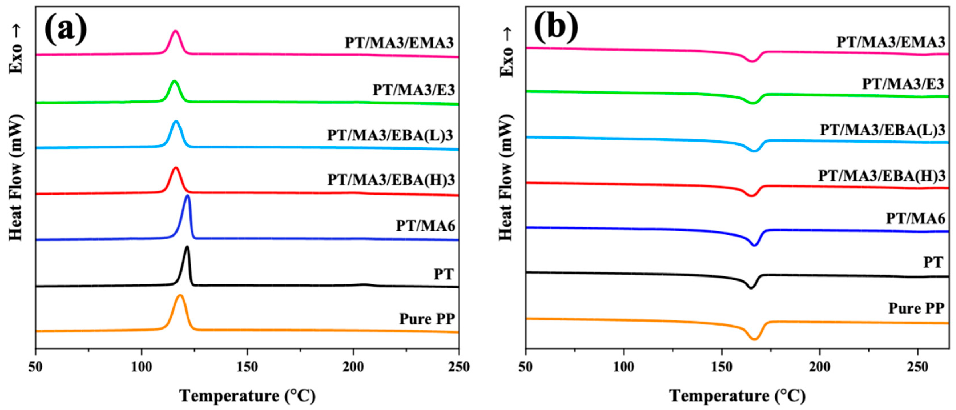 Polymers 16 02439 g005