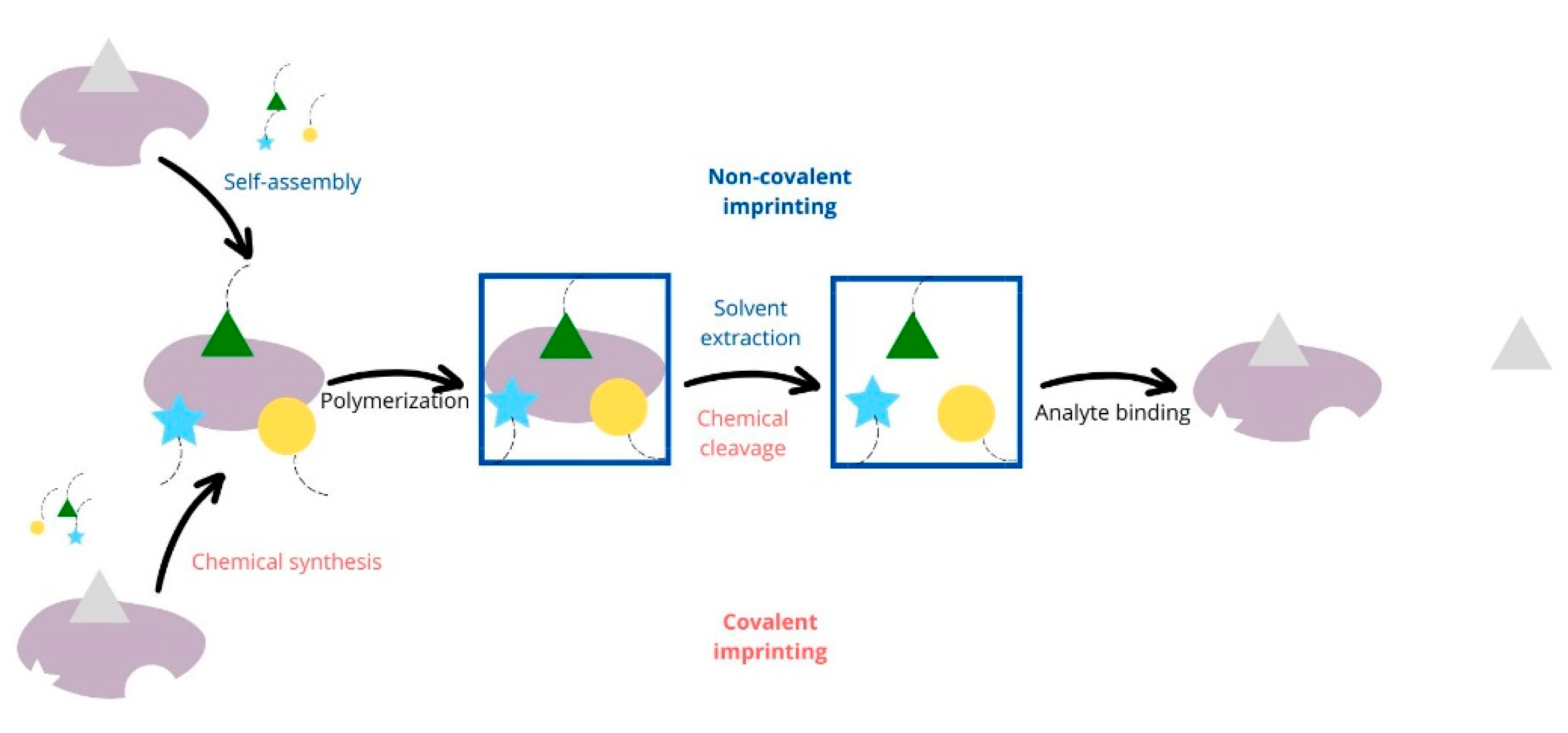 Polymers 16 02441 g001
