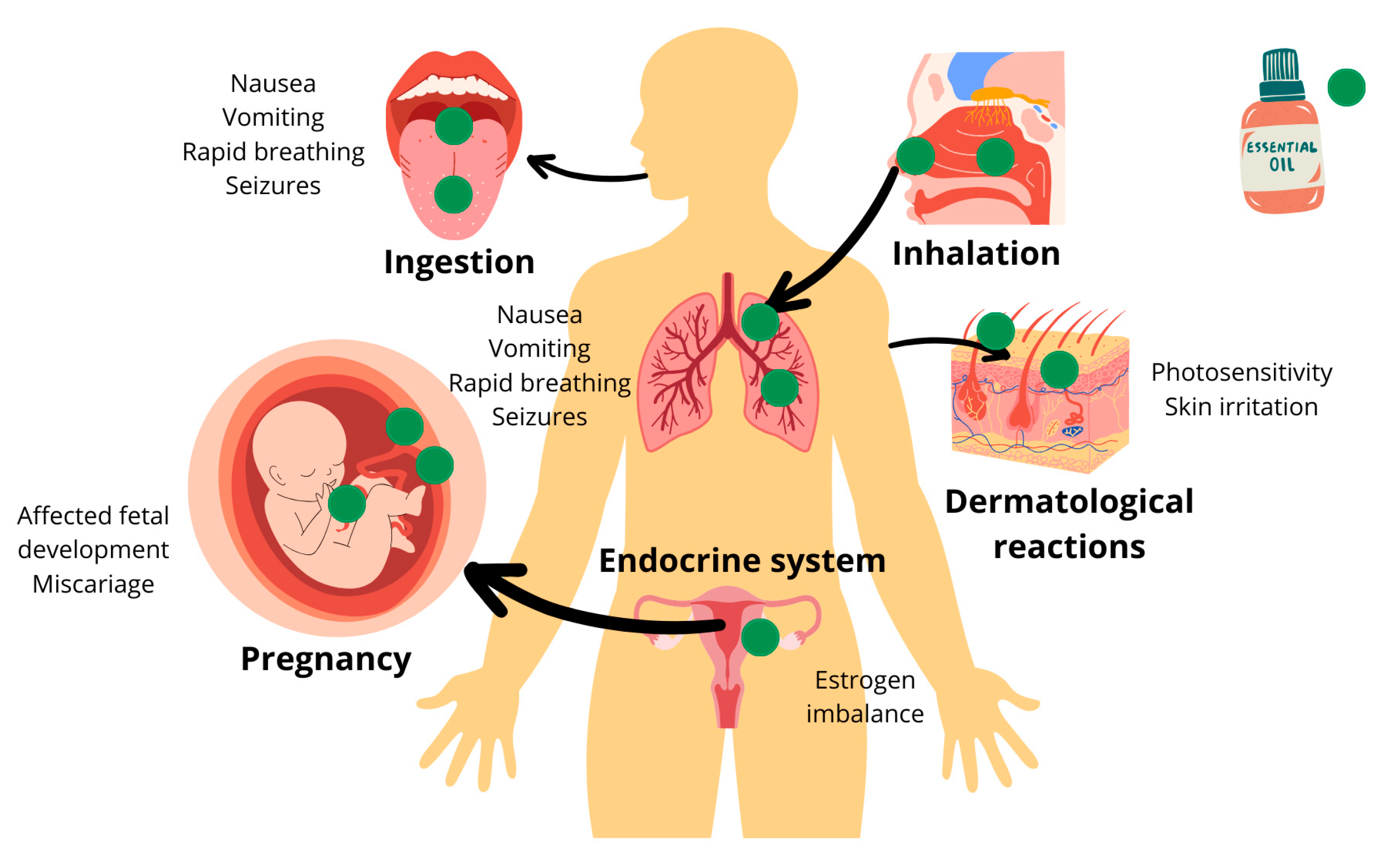 Polymers 16 02441 g002