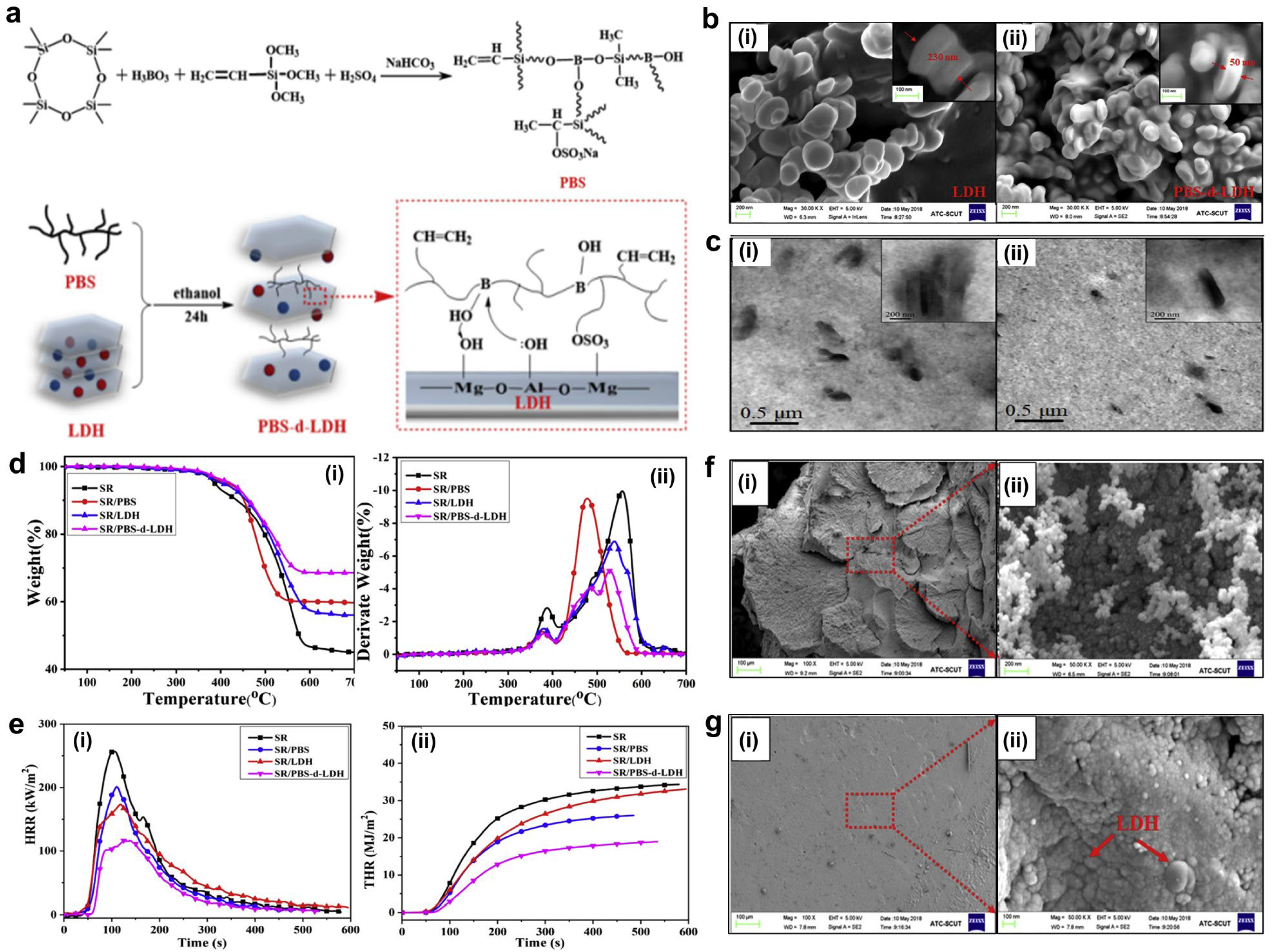 Polymers 16 02442 g007