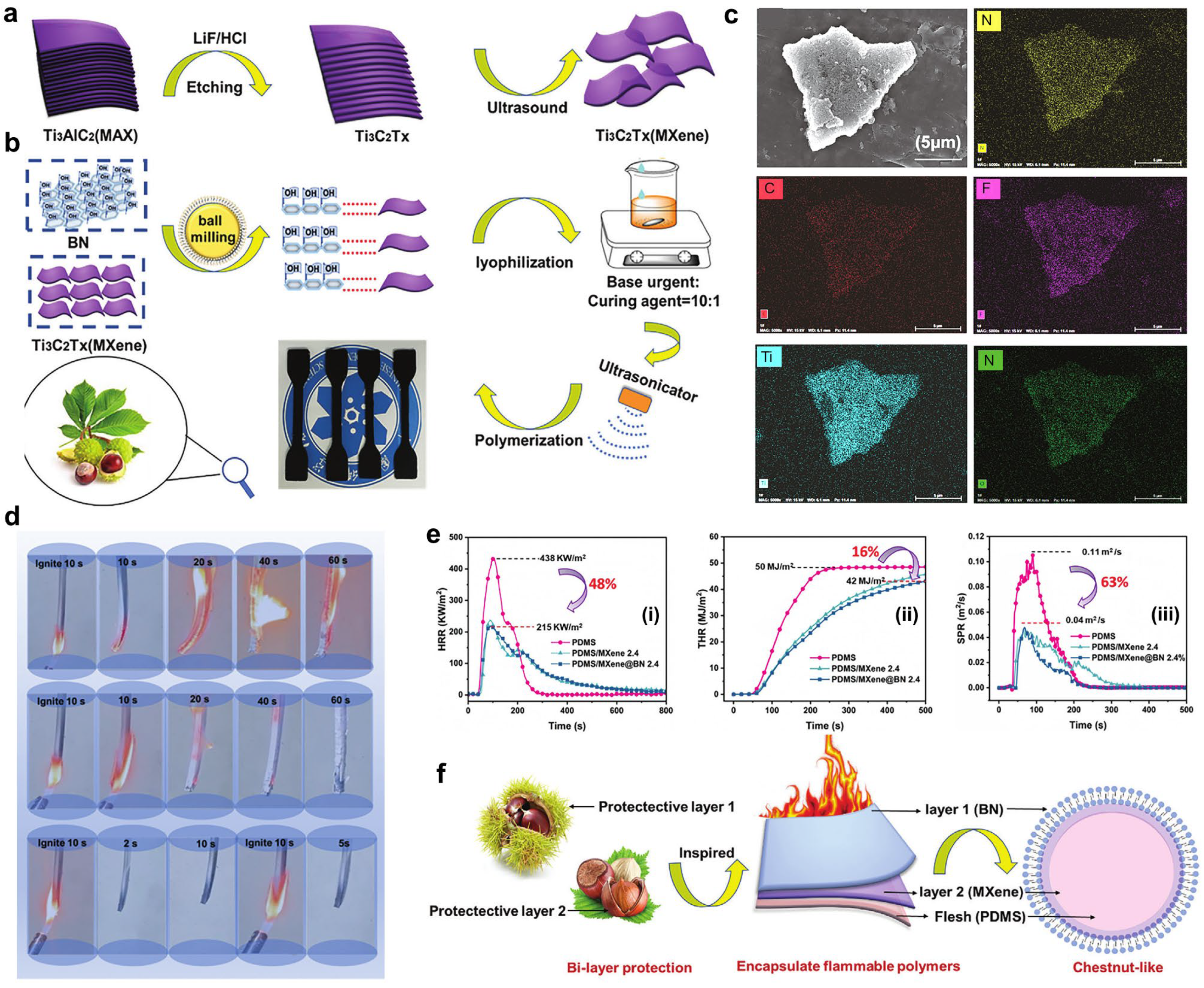 Polymers 16 02442 g011
