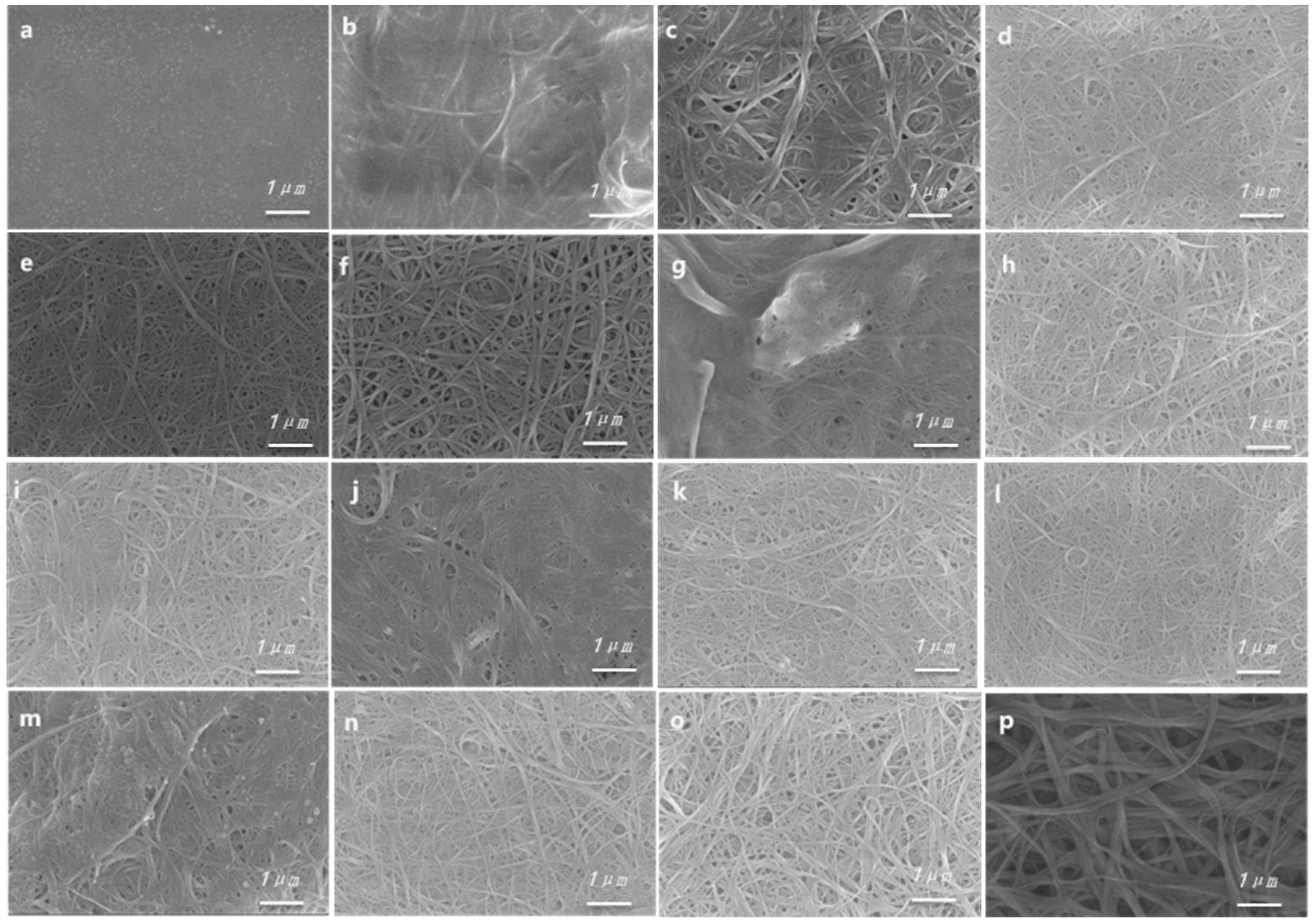 Polymers 16 02444 g004