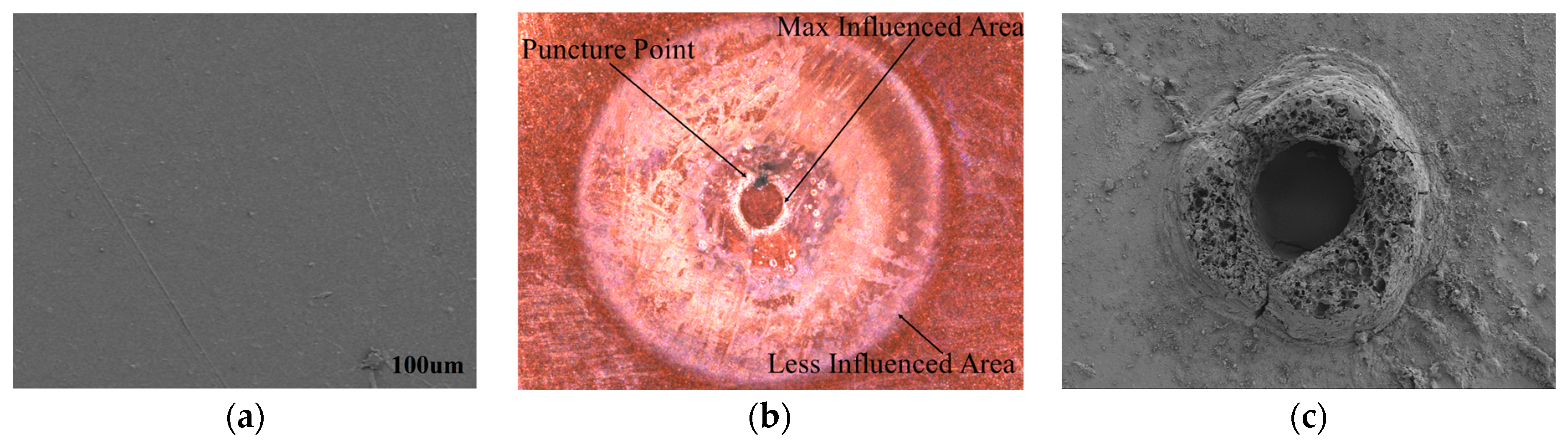 Polymers 16 02450 g007
