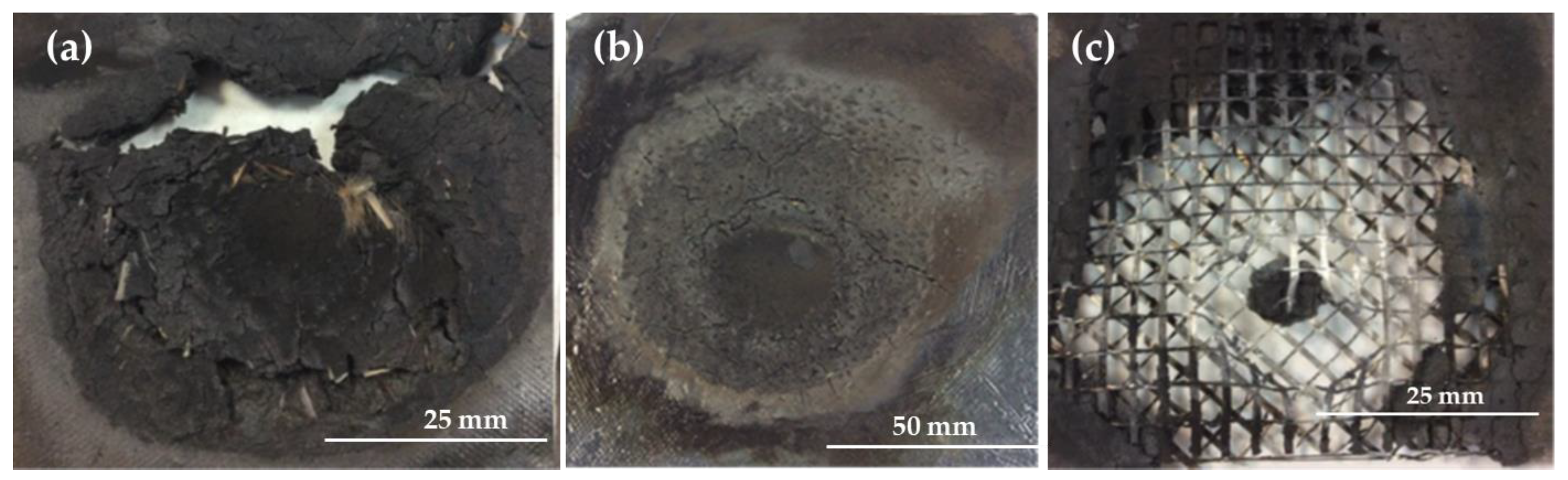 Polymers 16 02454 g004