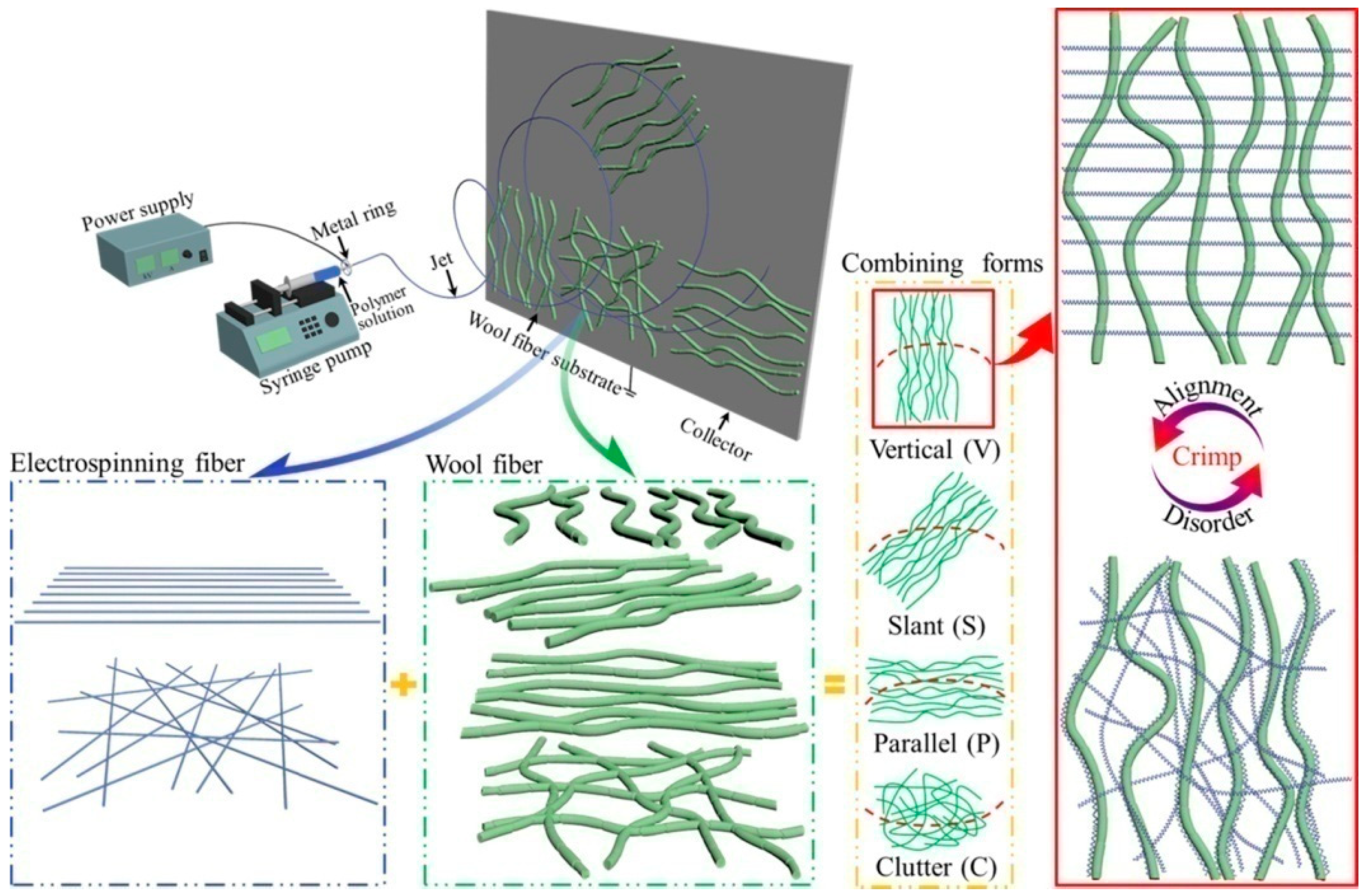 Polymers 16 02459 g001