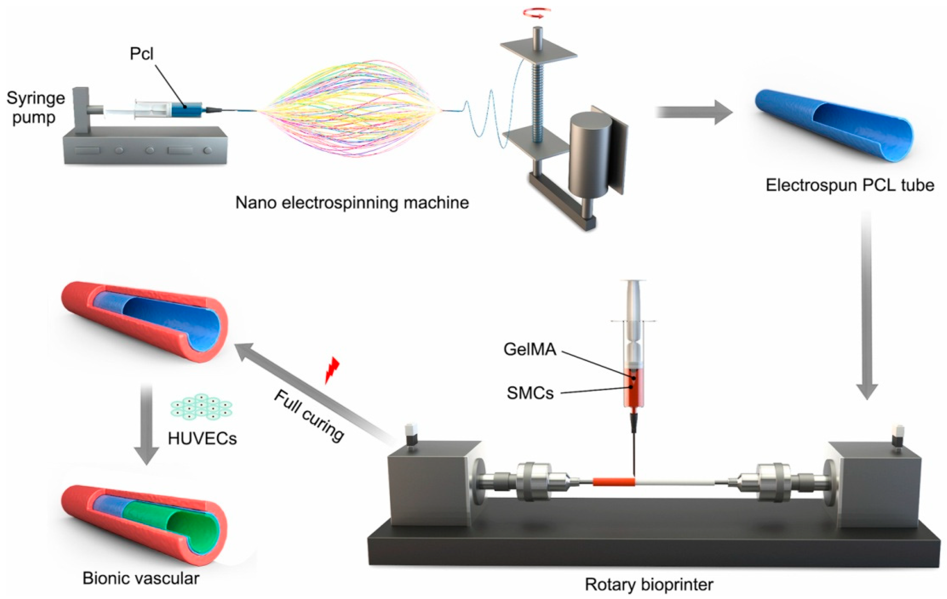 Polymers 16 02459 g006