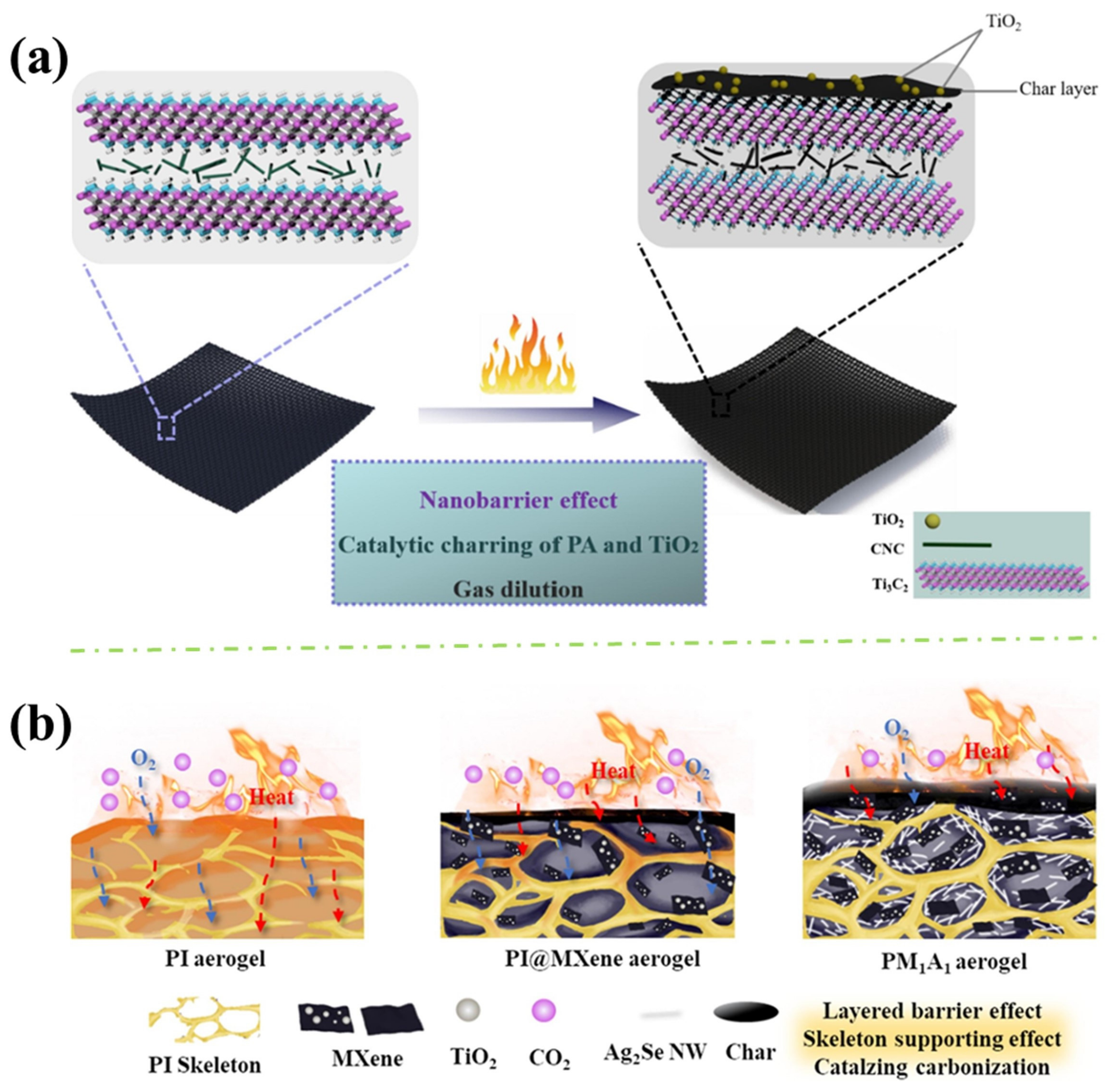 Polymers 16 02461 g009