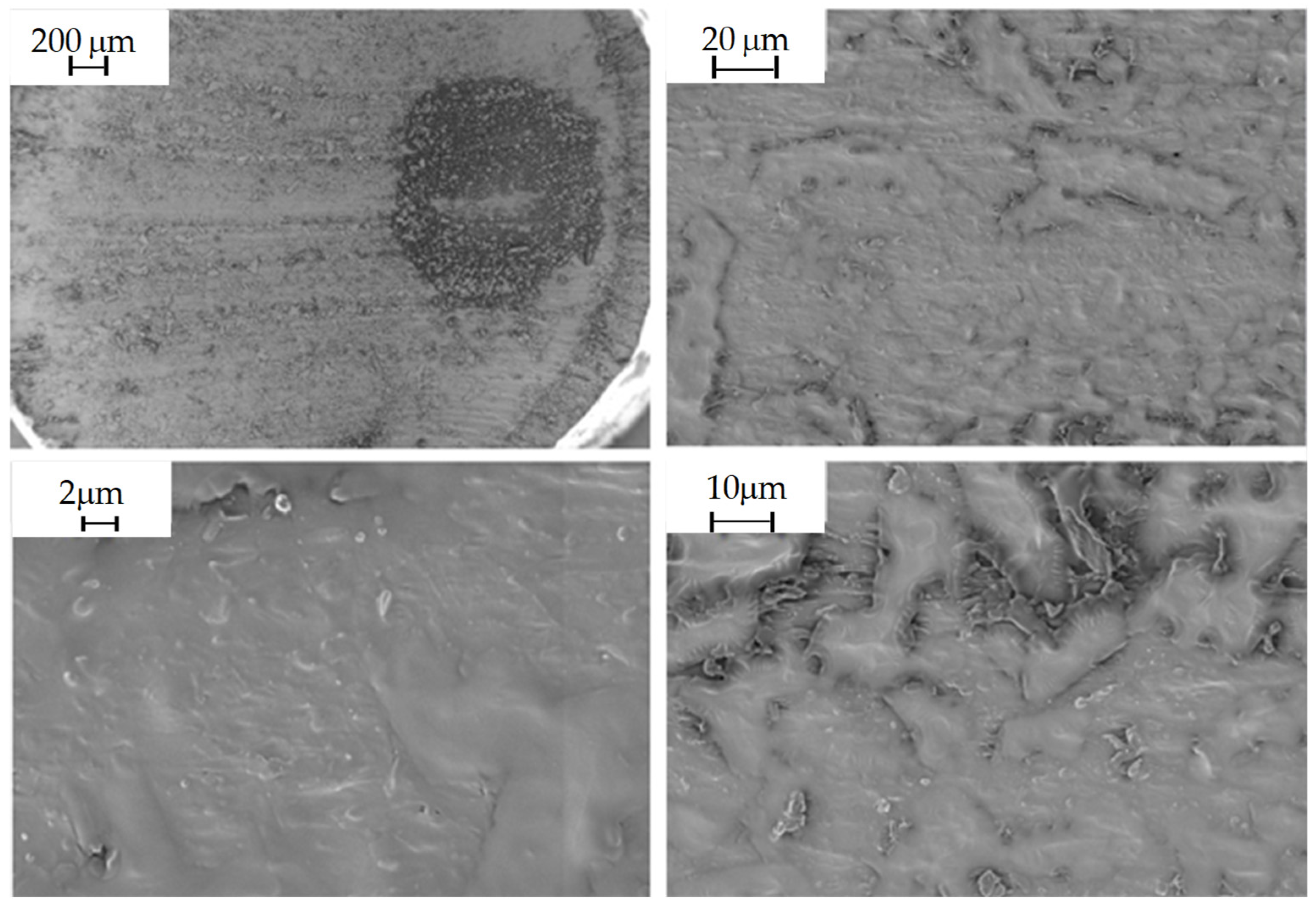 Polymers 16 02462 g003 Polymers 16 02462 g003