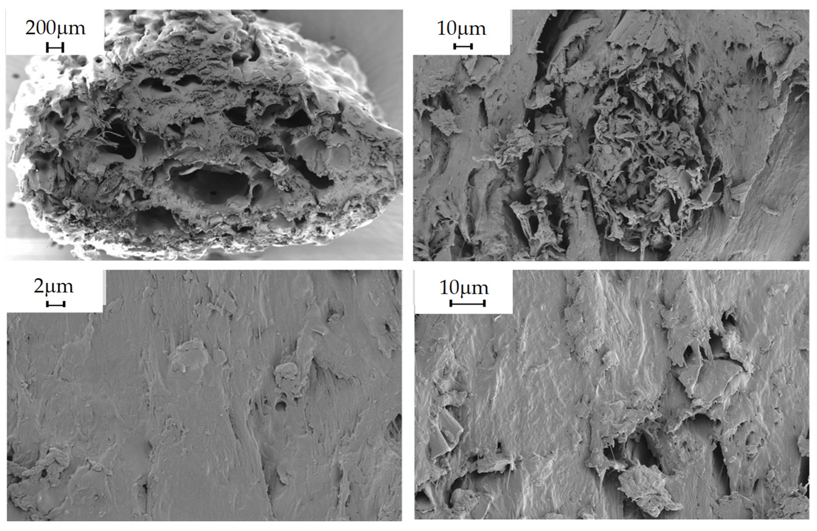 Polymers 16 02462 g006 Polymers 16 02462 g006