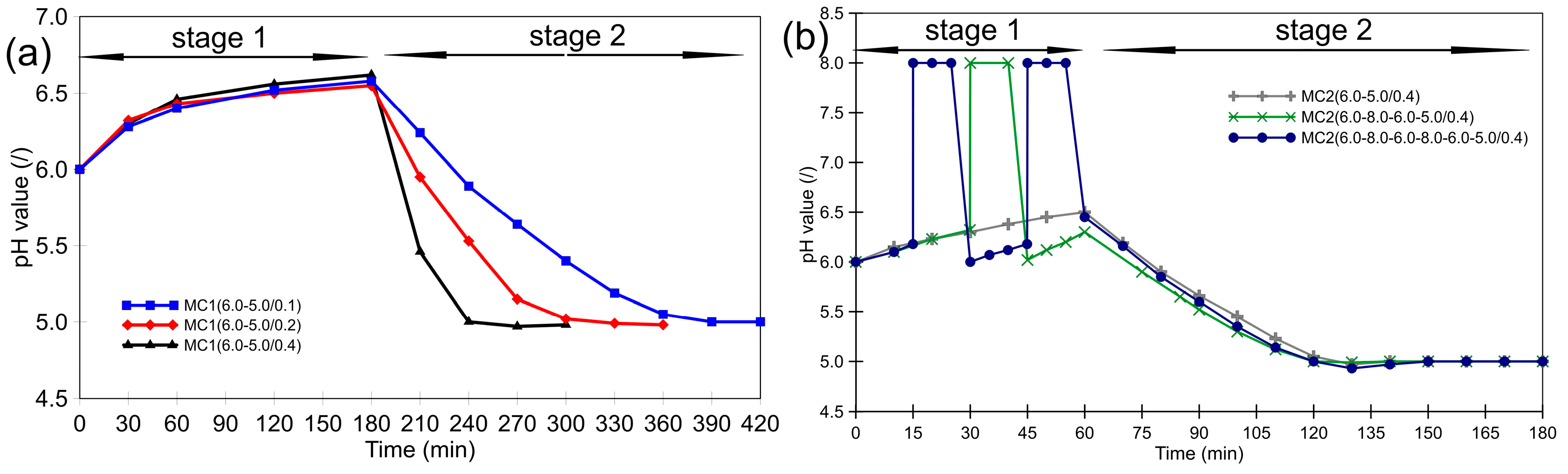 Polymers 16 02463 g001