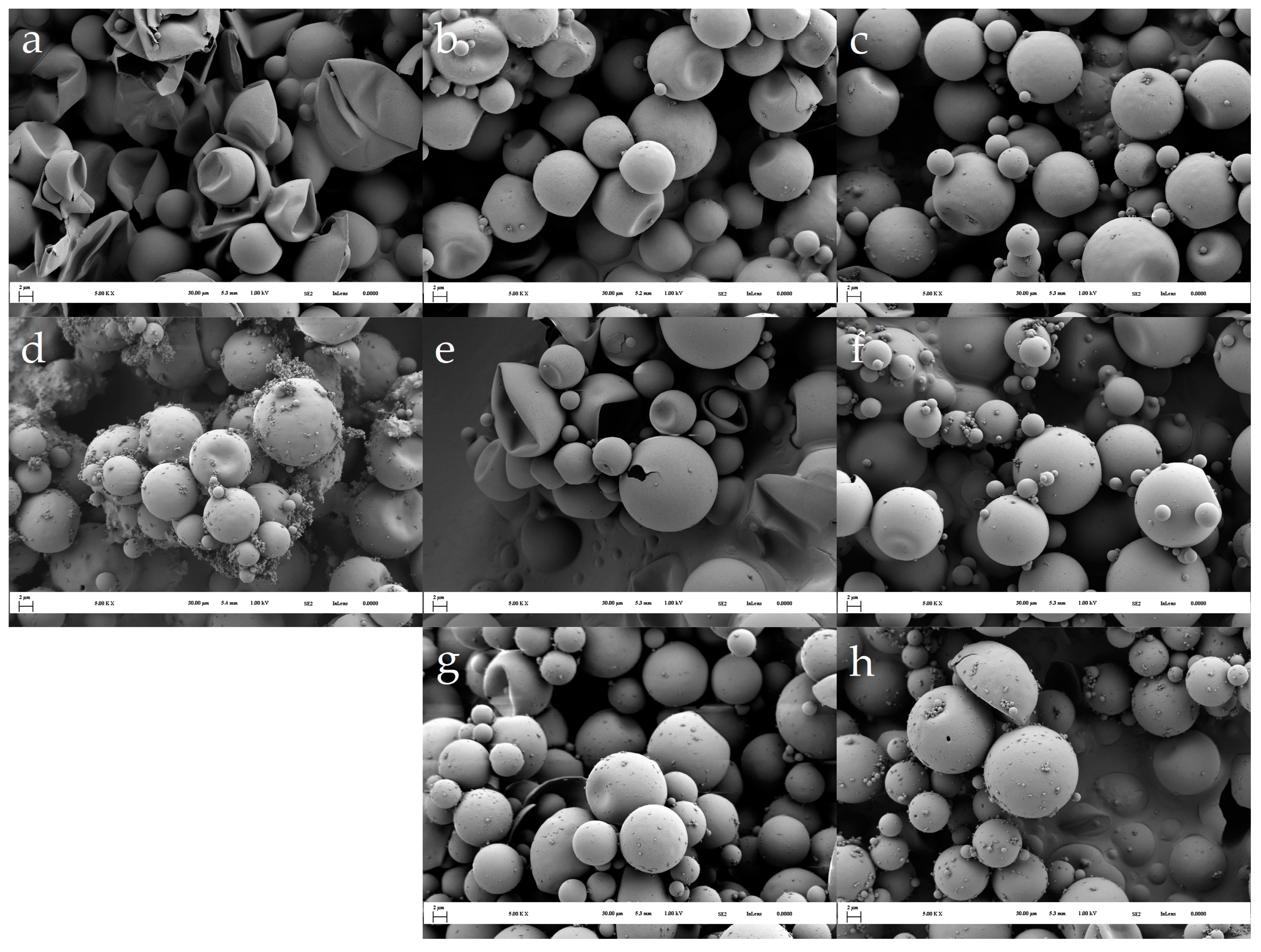 Polymers 16 02463 g007