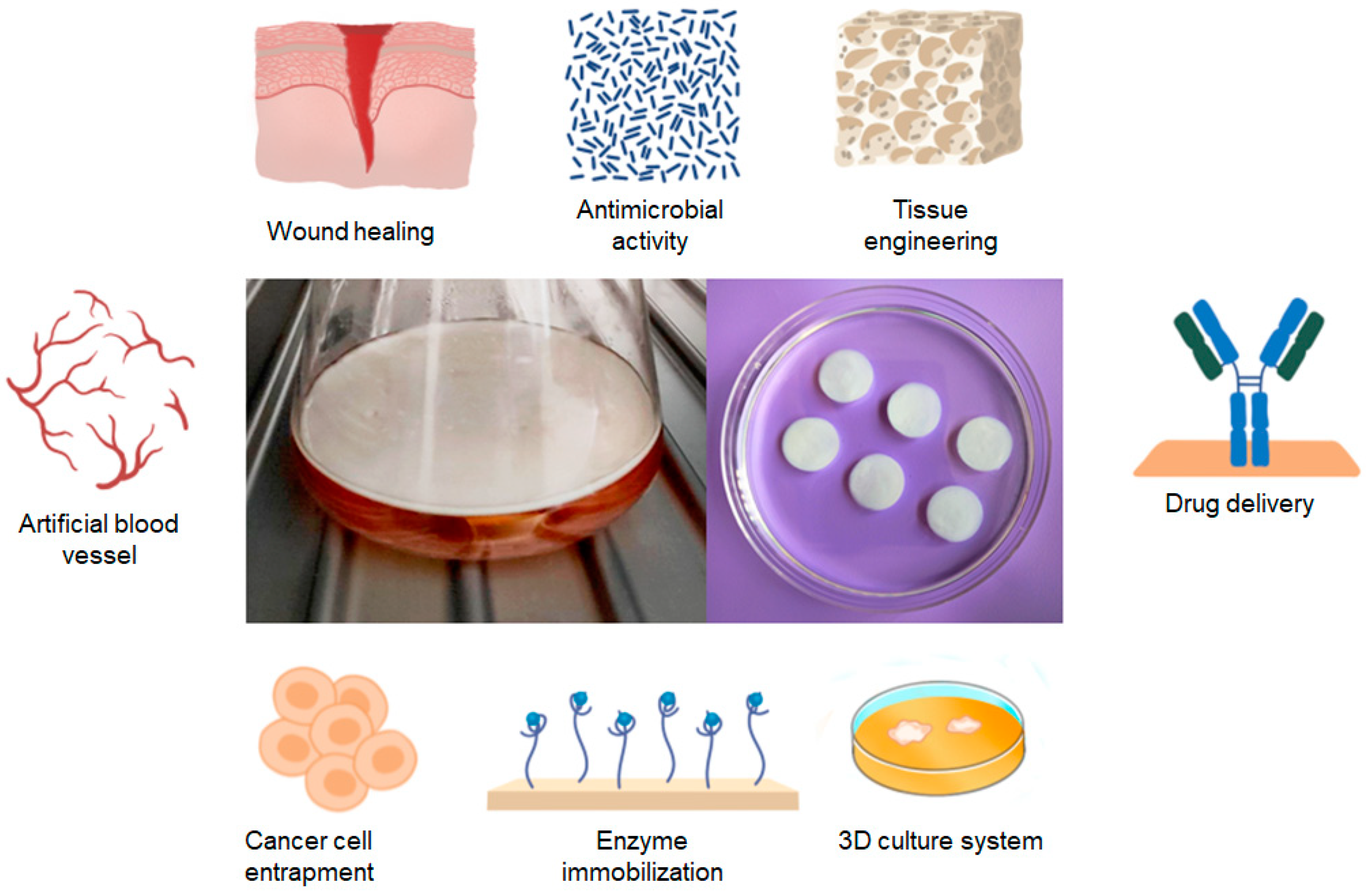 Polymers 16 02468 g002 Polymers 16 02468 g002