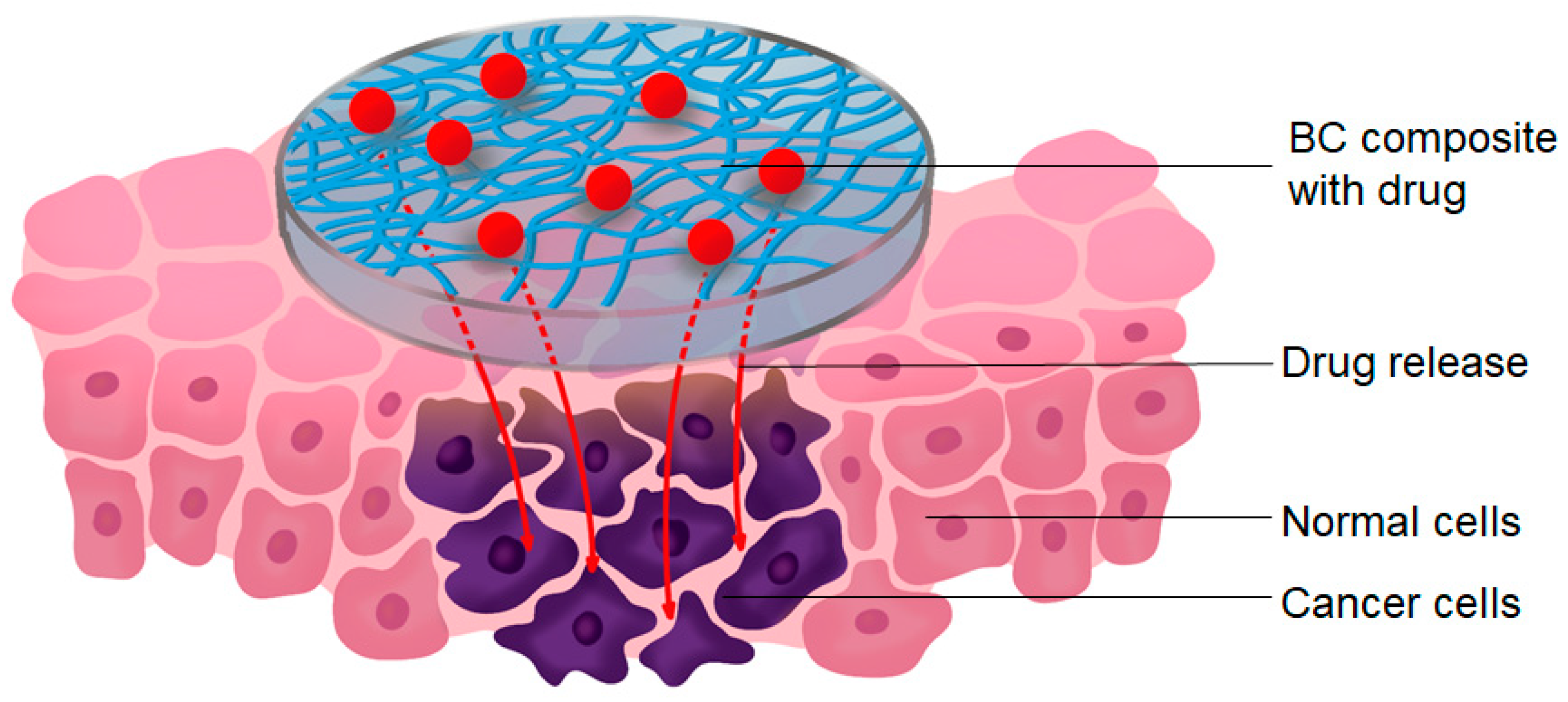 Polymers 16 02468 g005 Polymers 16 02468 g005