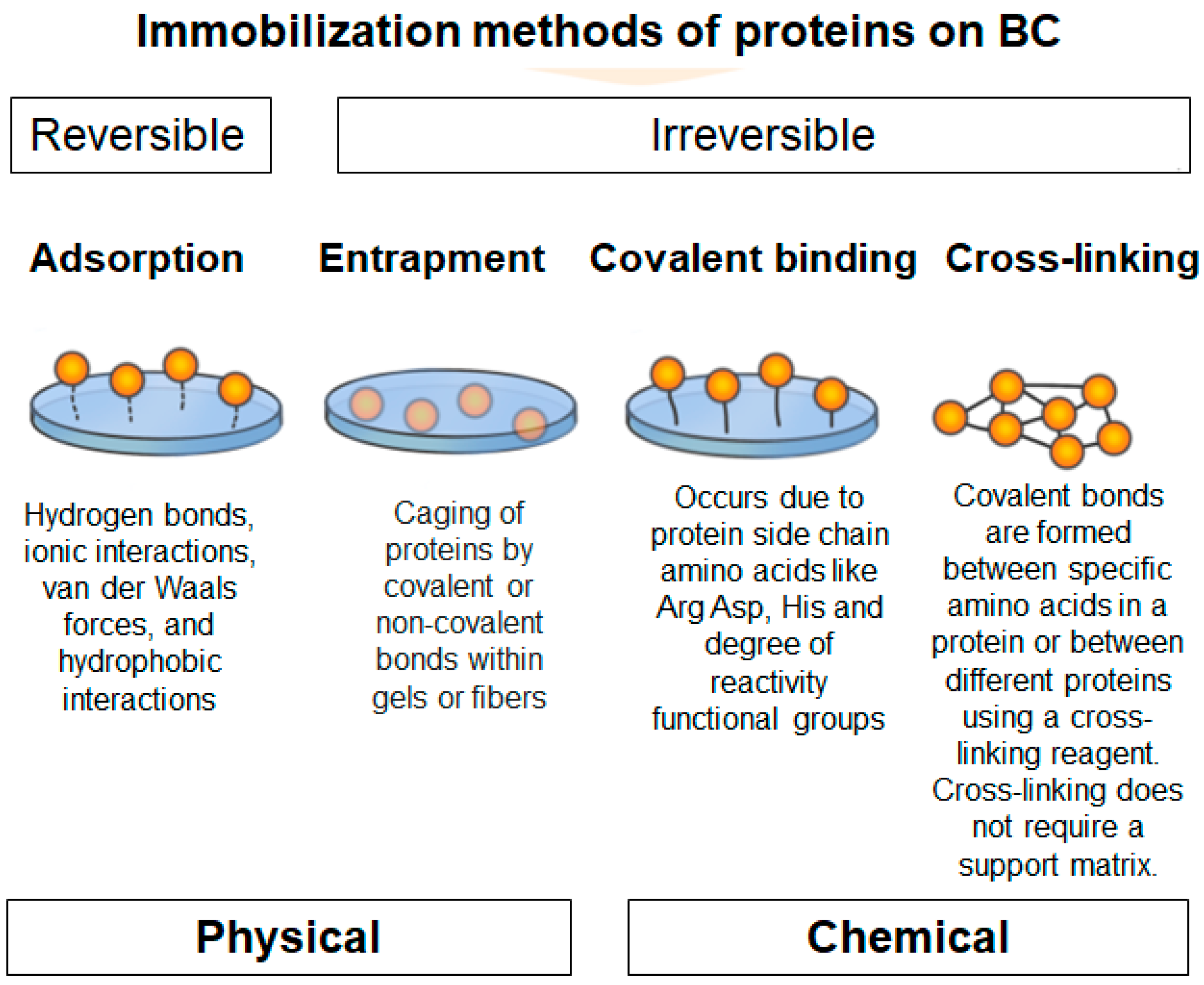 Polymers 16 02468 g006 Polymers 16 02468 g006