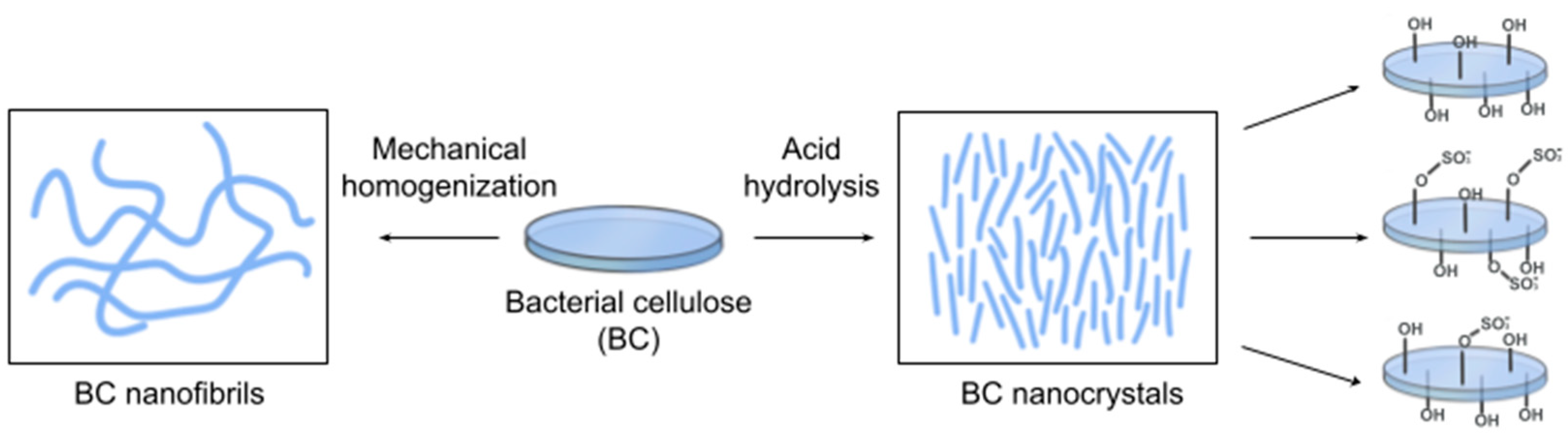 Polymers 16 02468 g009 Polymers 16 02468 g009