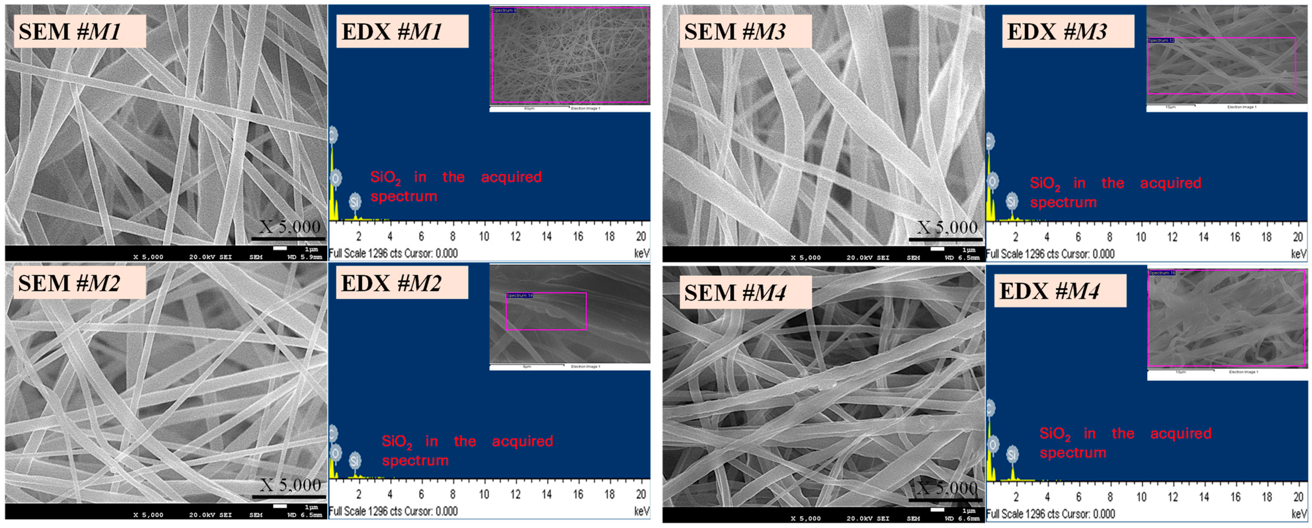 Polymers 16 02469 g001