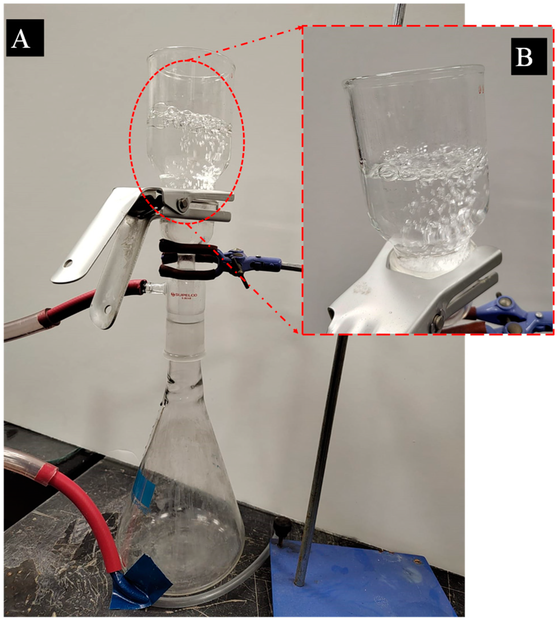 Polymers 16 02469 g005