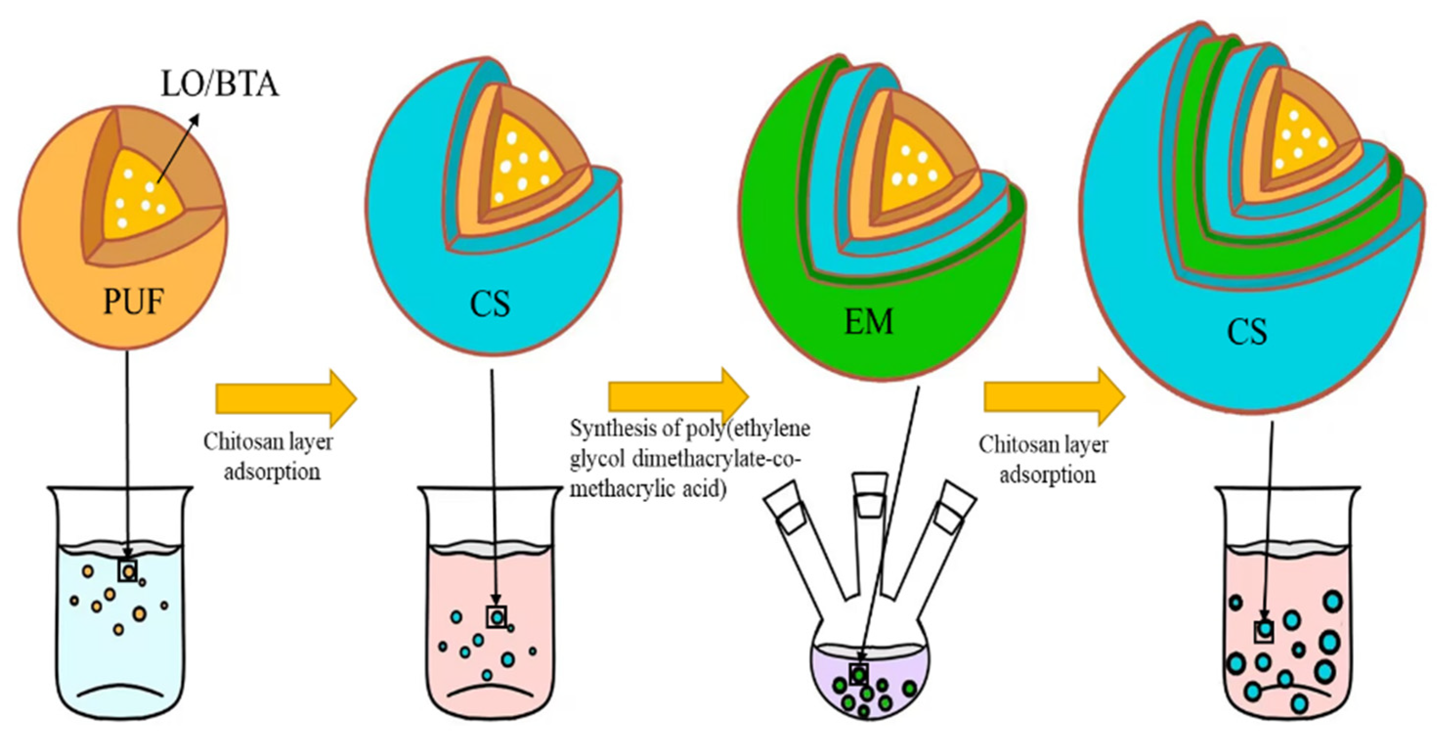 Polymers 16 02473 g001