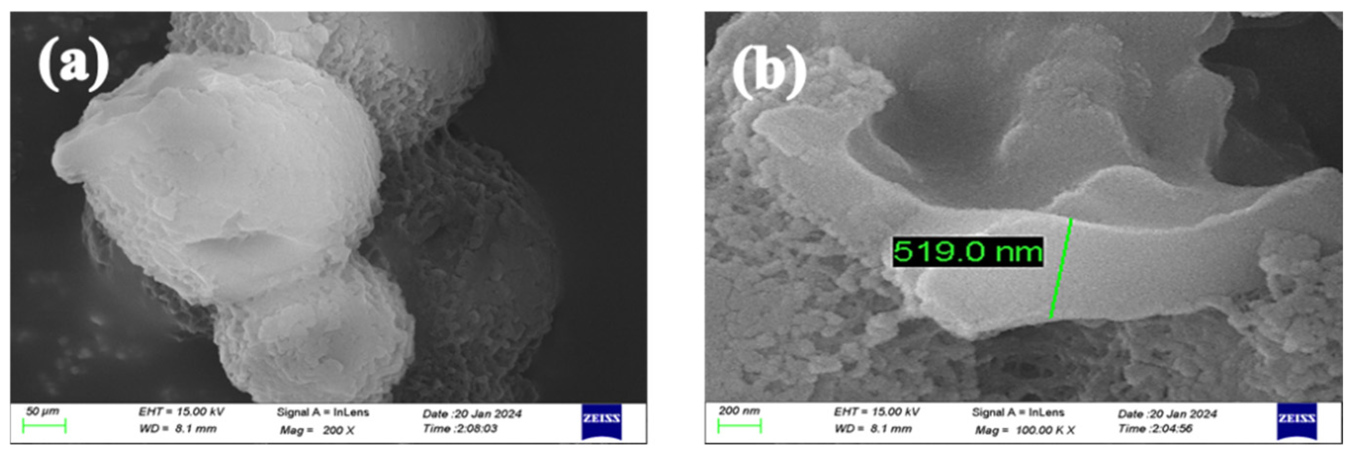Polymers 16 02473 g015