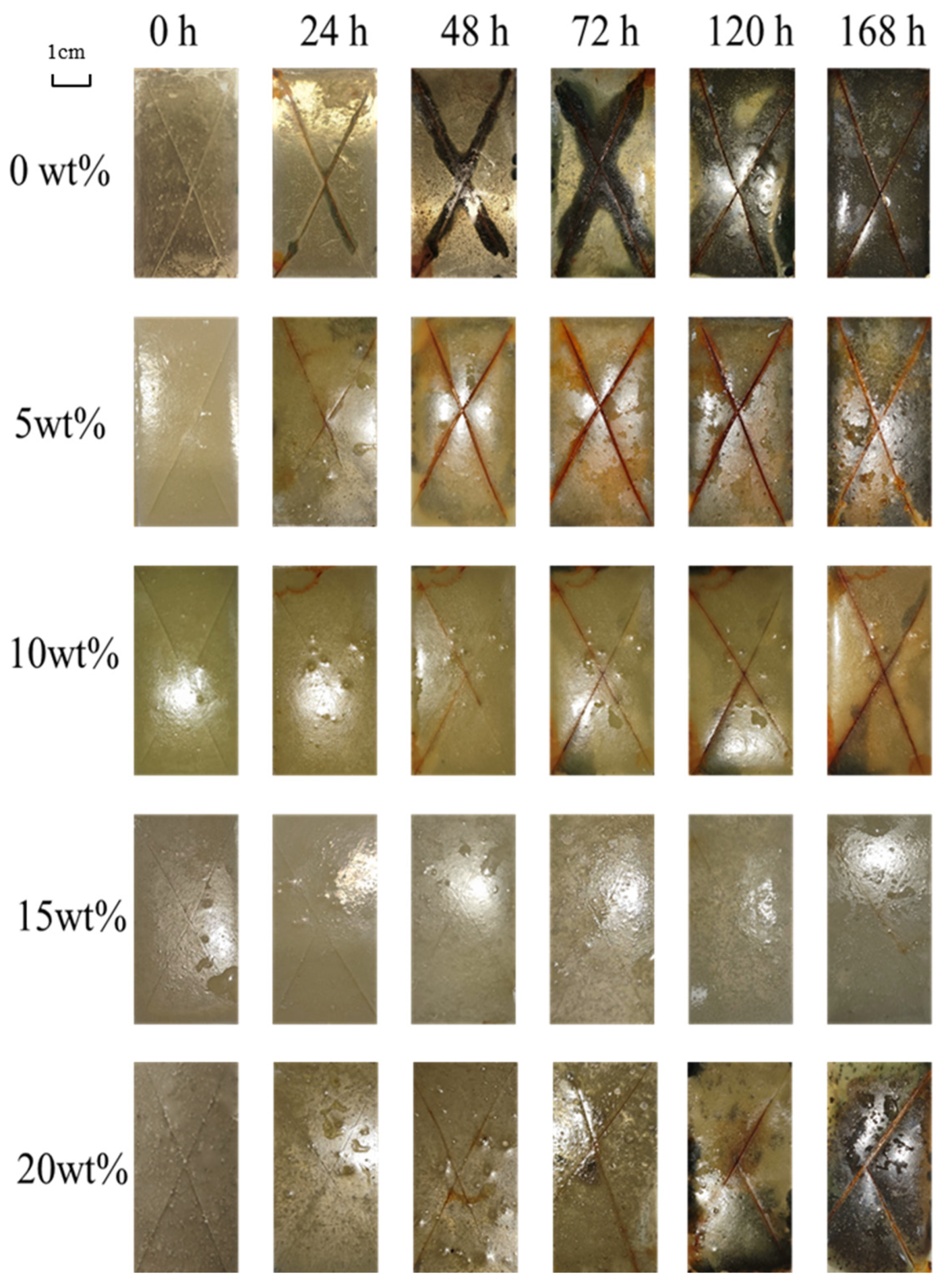 Polymers 16 02473 g021
