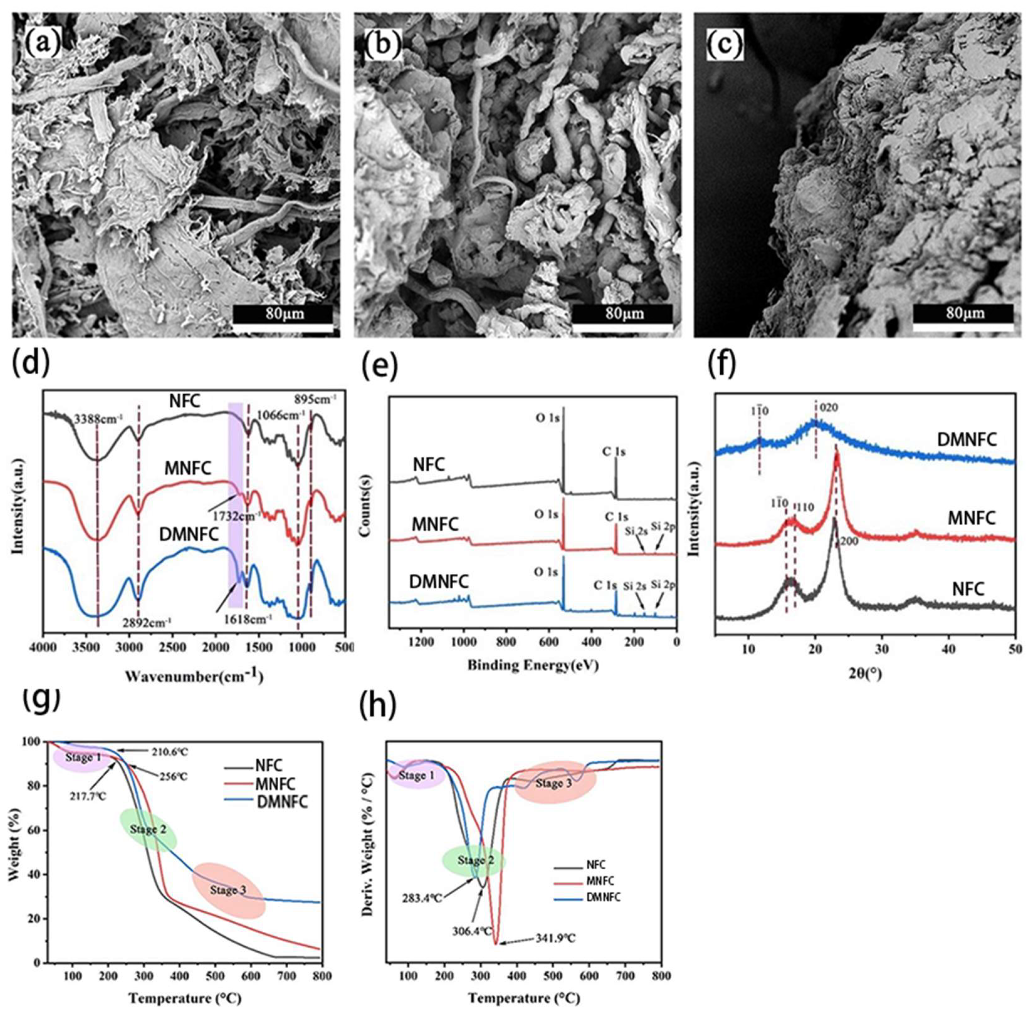 Polymers 16 02474 g002