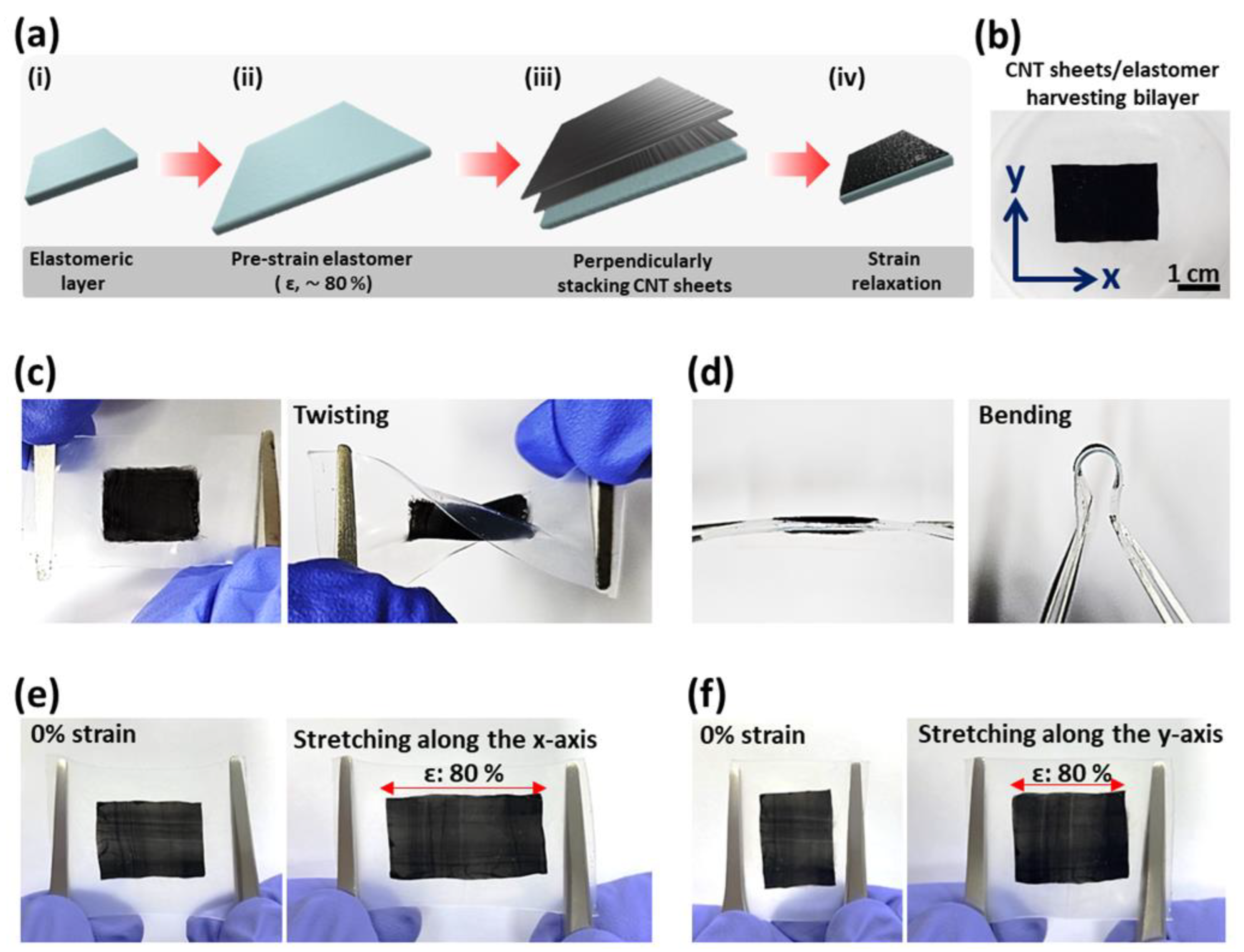 Polymers 16 02477 g001