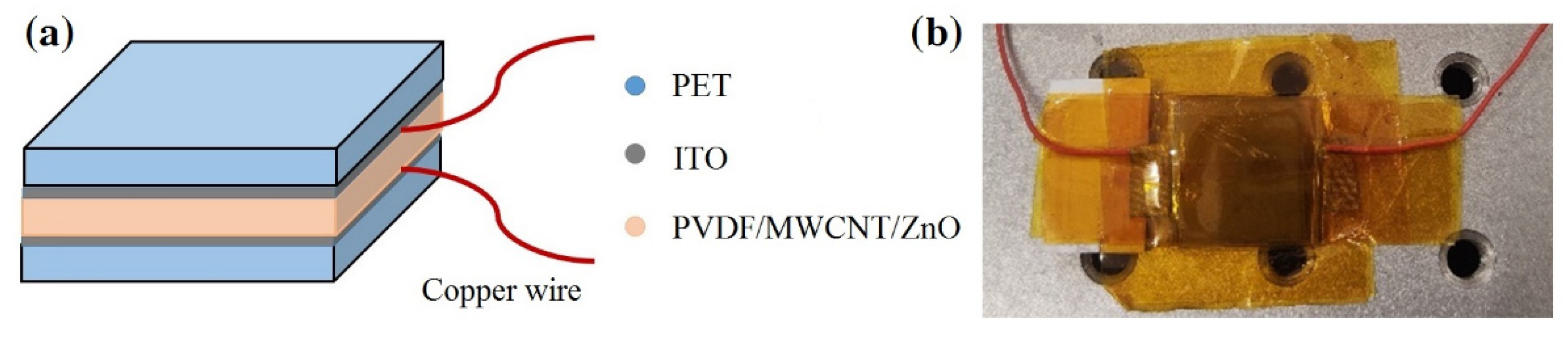 Polymers 16 02483 g002