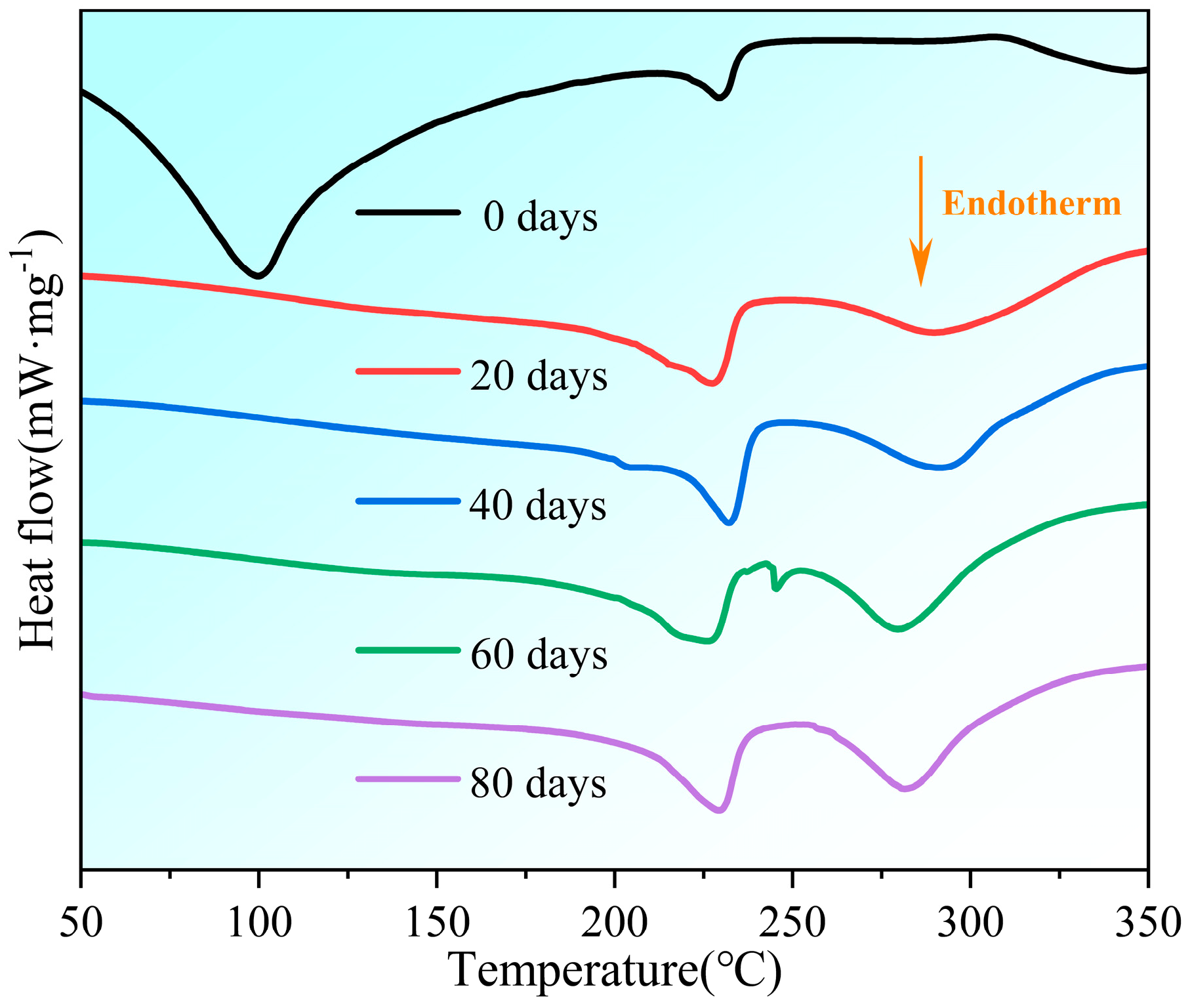 Polymers 16 02486 g005
