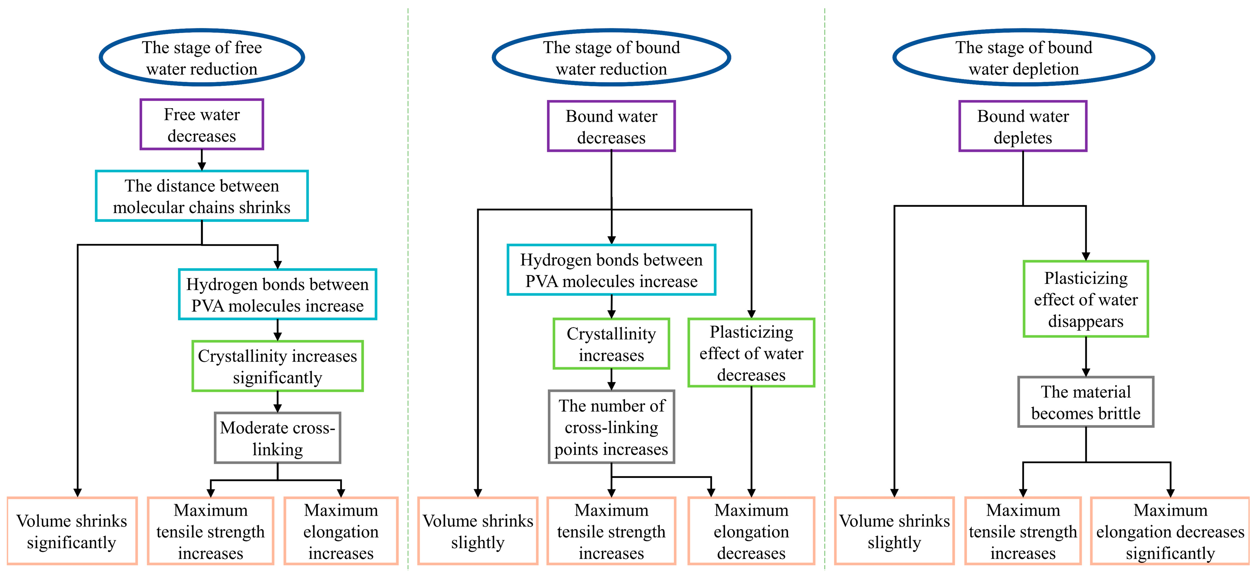 Polymers 16 02486 g011