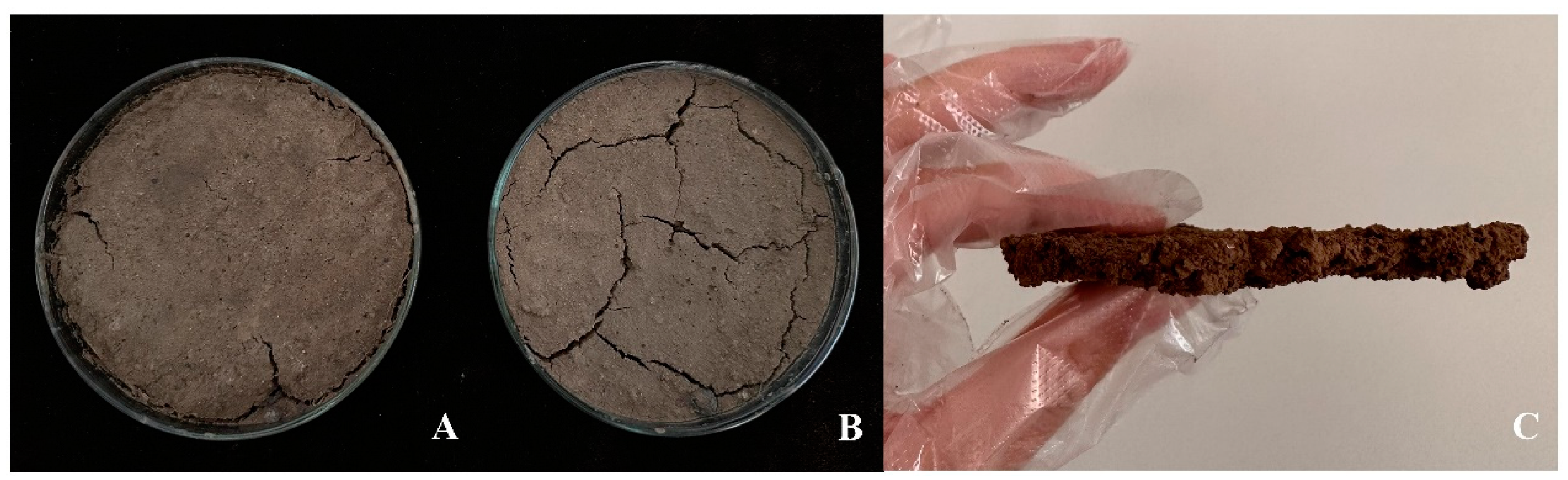 Polymers 16 02487 g004