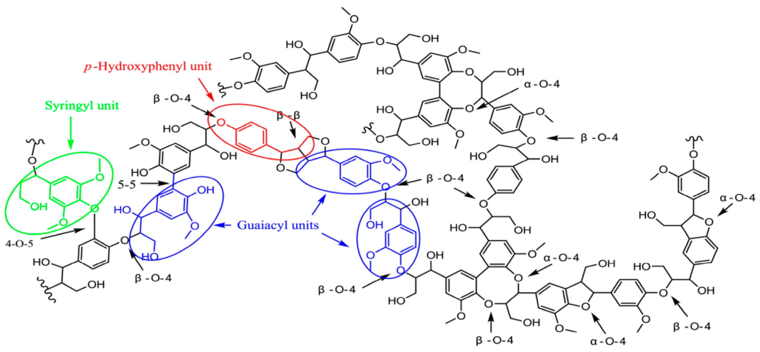 Polymers 16 02488 g001