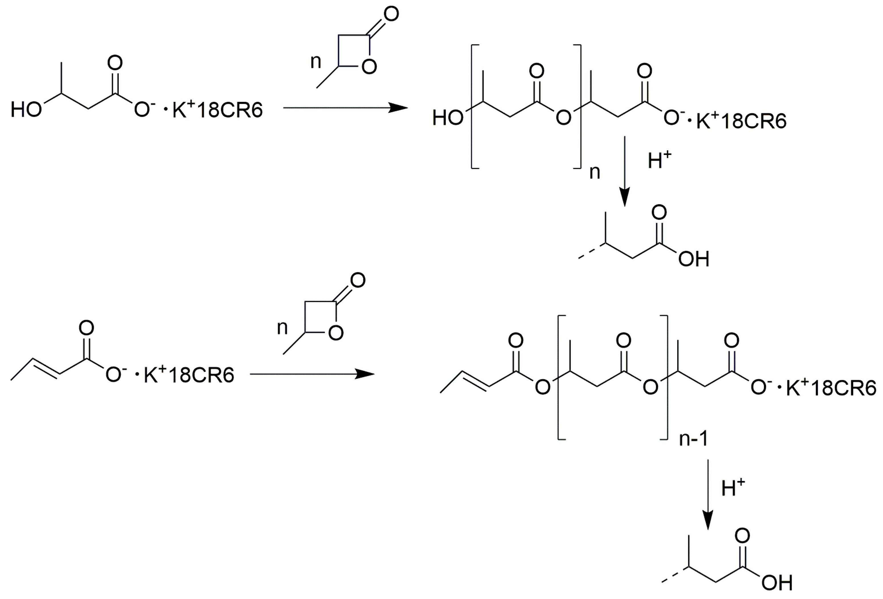 Polymers 16 02503 sch002 Polymers 16 02503 sch002