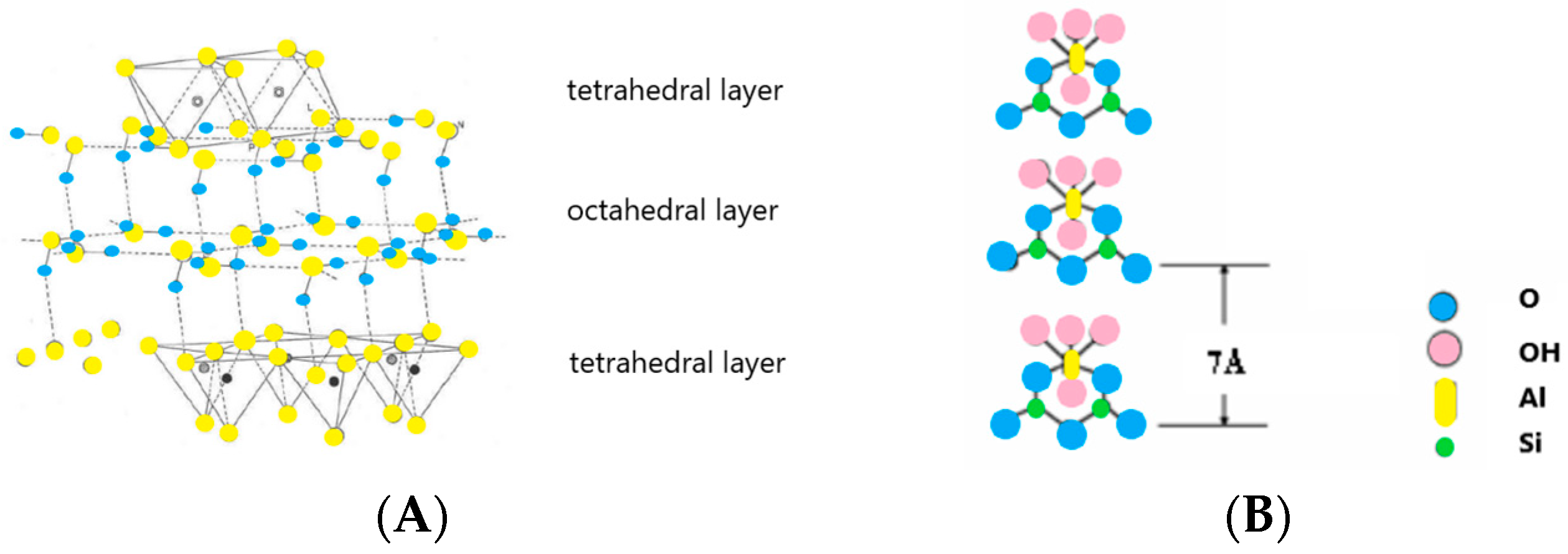 Polymers 16 02505 g003 Polymers 16 02505 g003