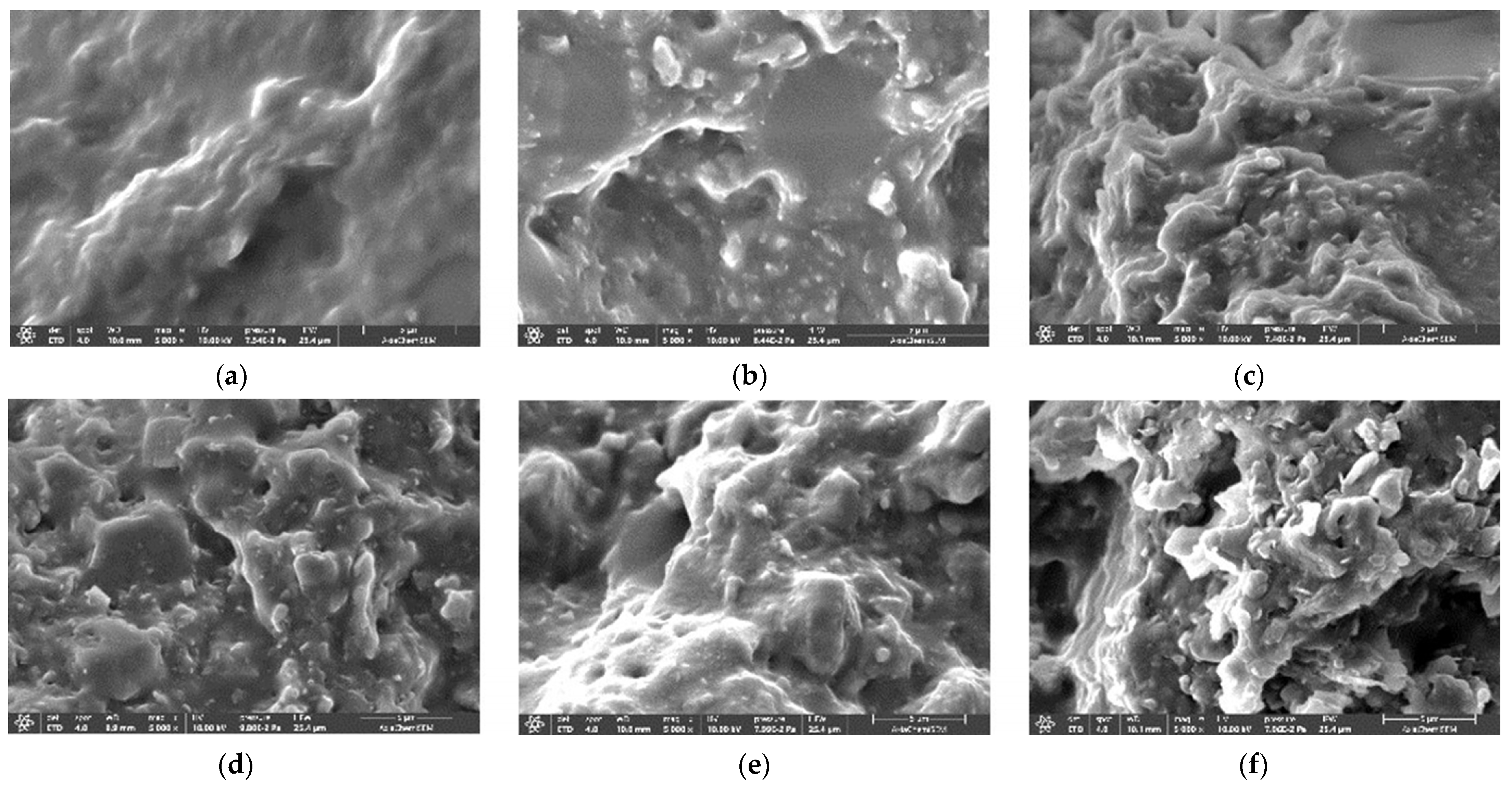 Polymers 16 02510 g004