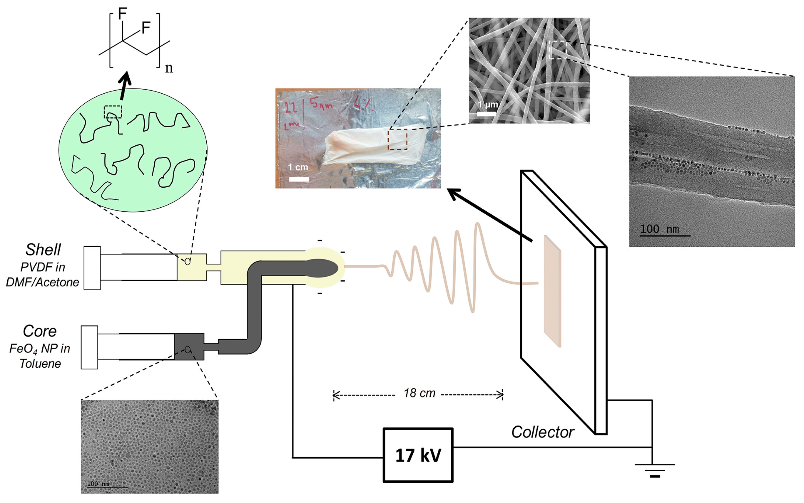 Polymers 16 02514 g003 Polymers 16 02514 g003