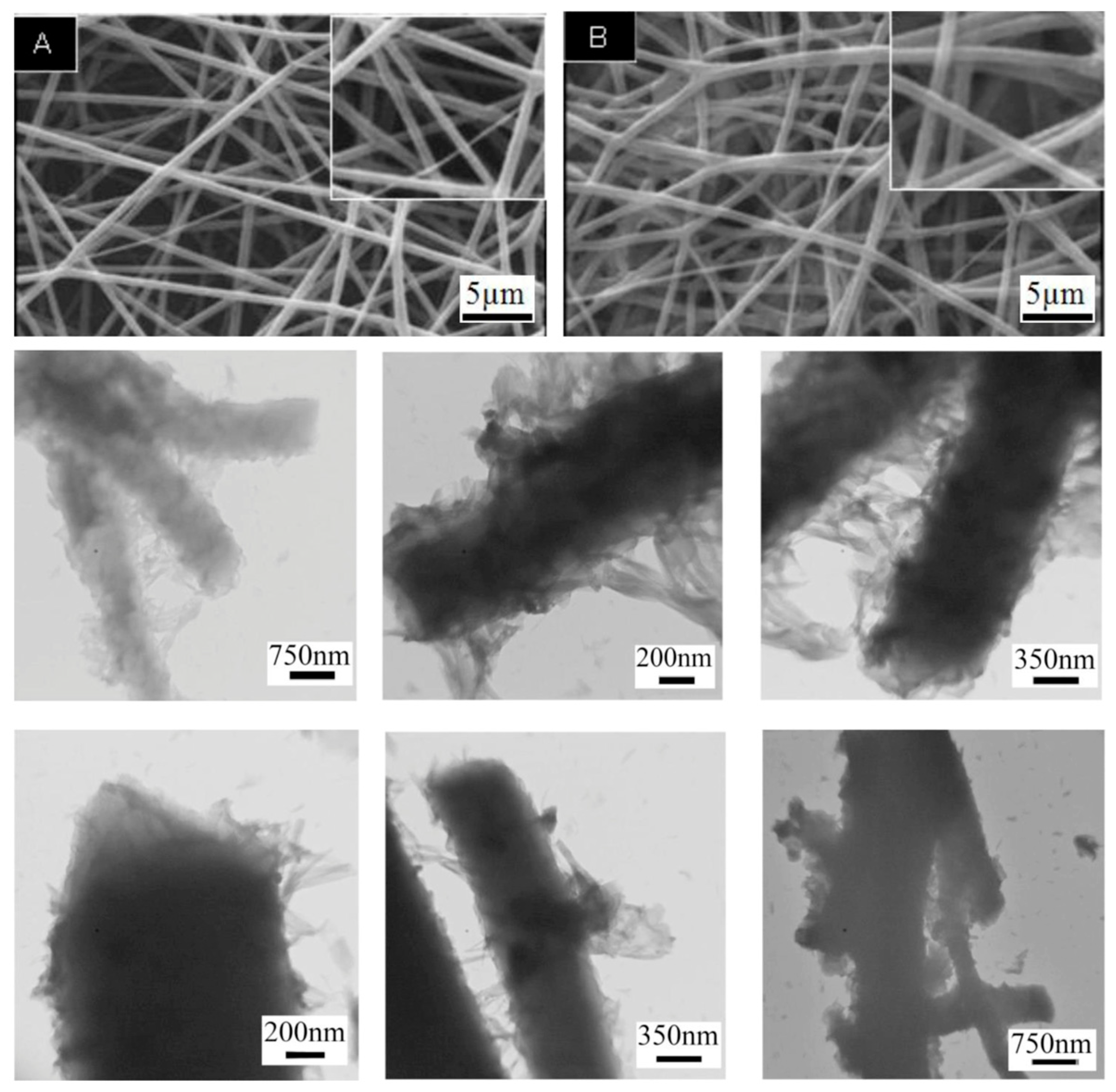 Polymers 16 02514 g004 Polymers 16 02514 g004