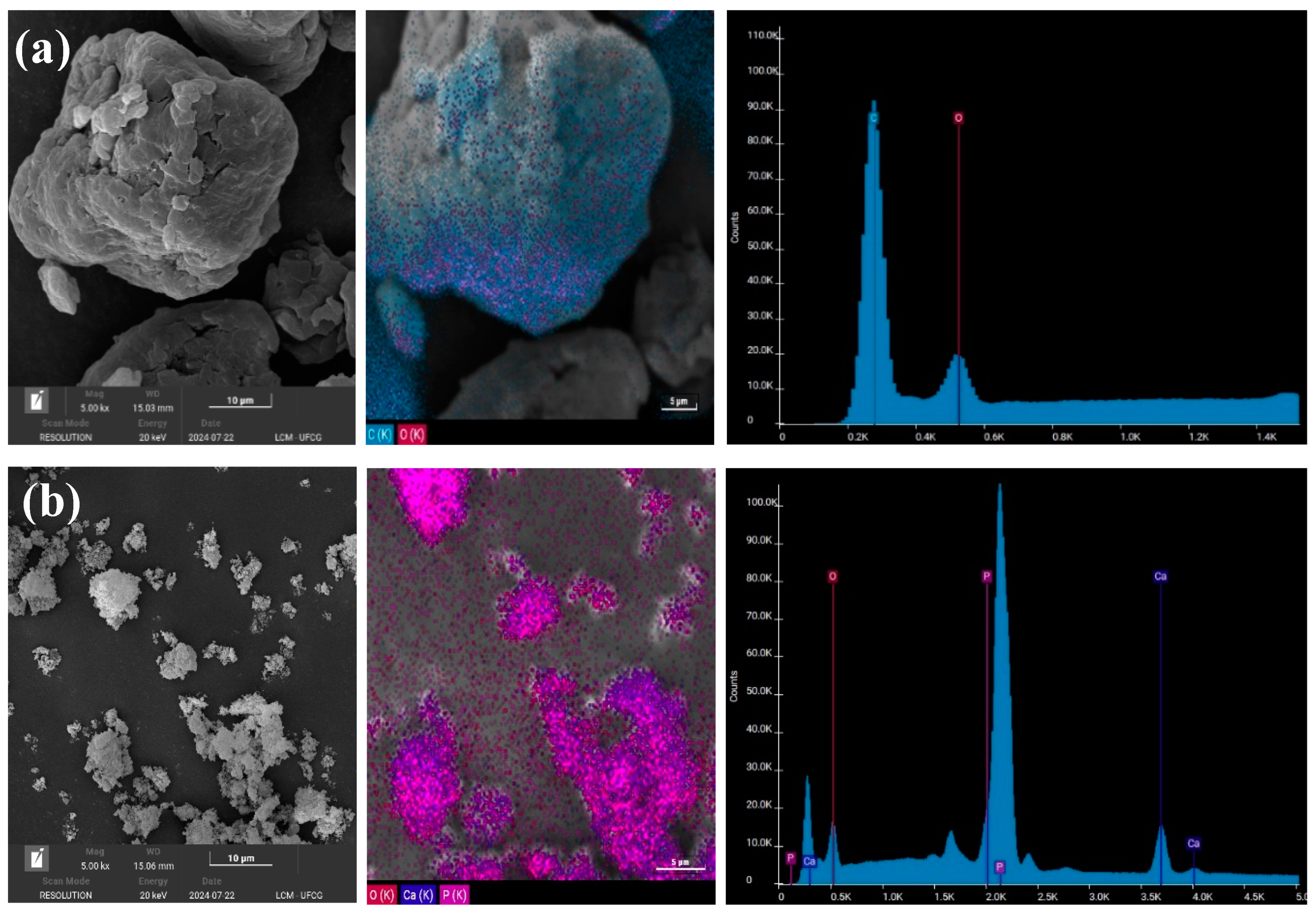 Polymers 16 02520 g004a