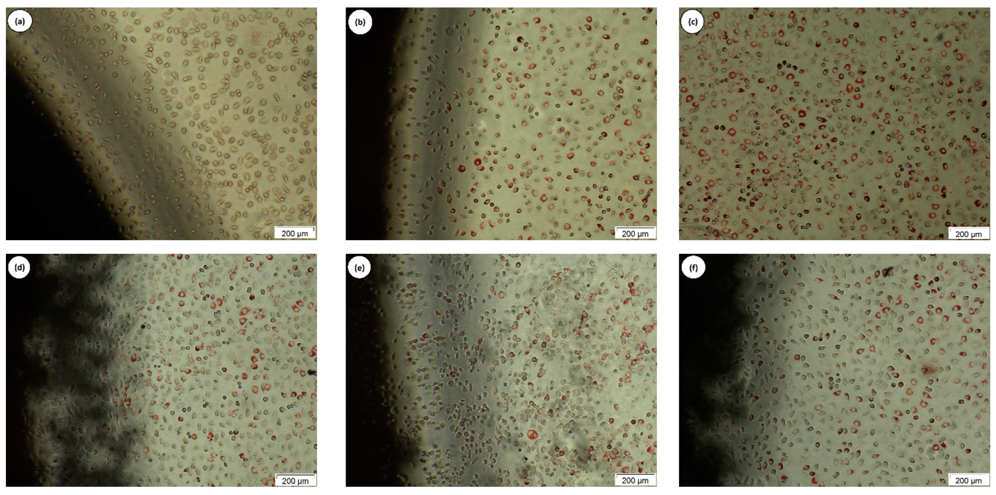 Polymers 16 02520 g007