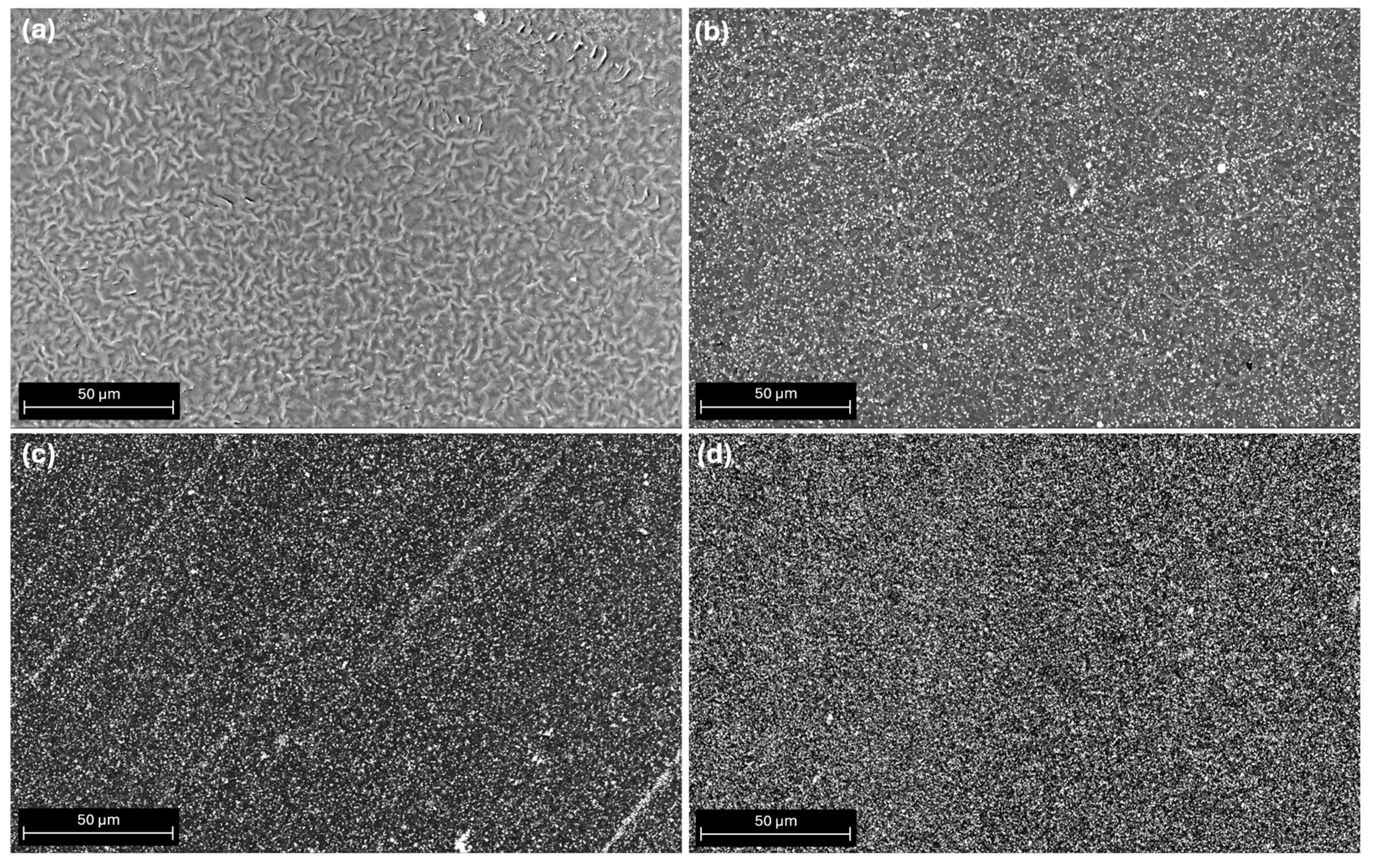 Polymers 16 02521 g001